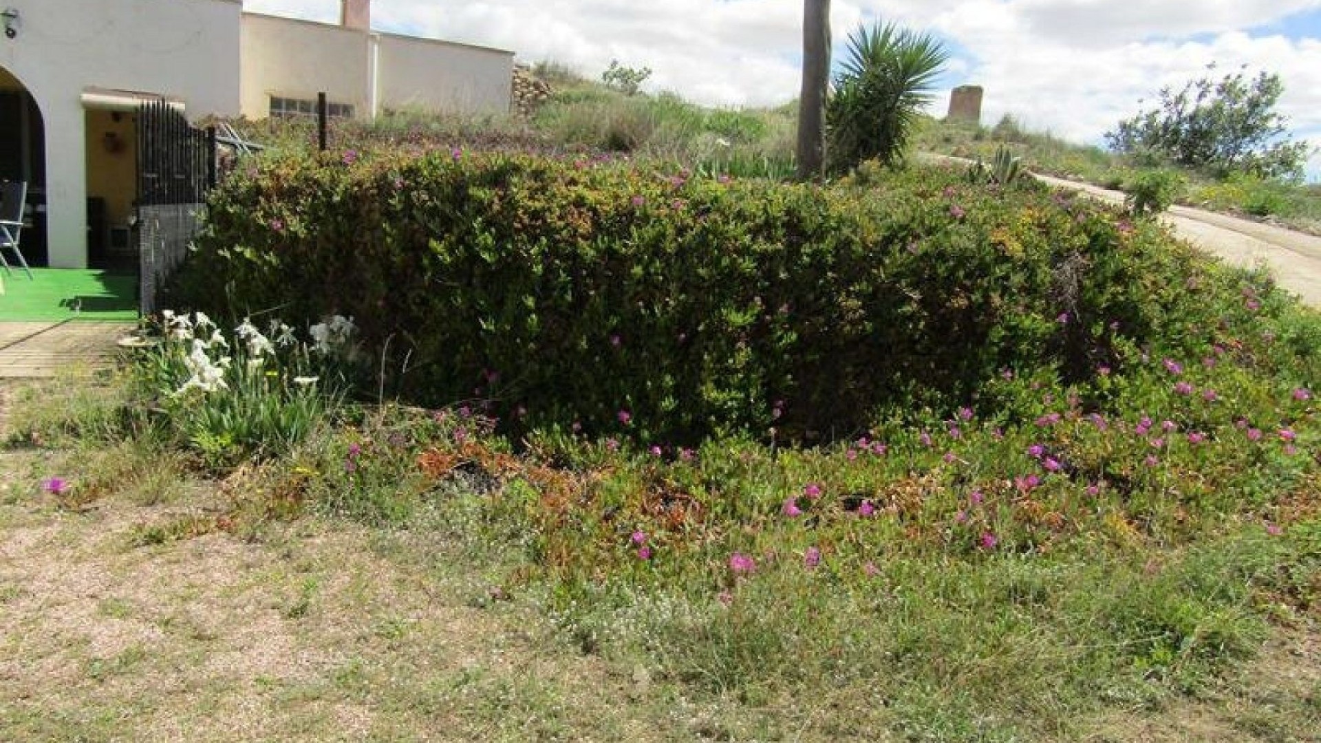 Herverkoop - Finca Landelijk pand -
La Romana