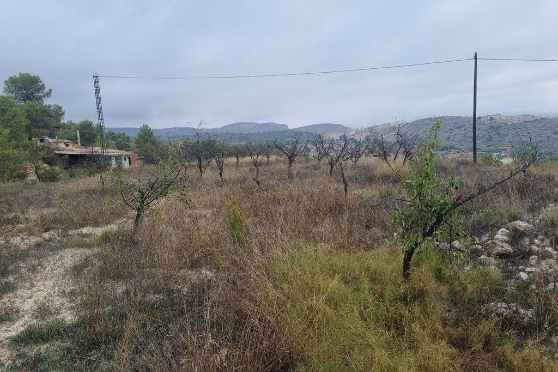 Herverkoop - Finca Landelijk pand -
La Romana