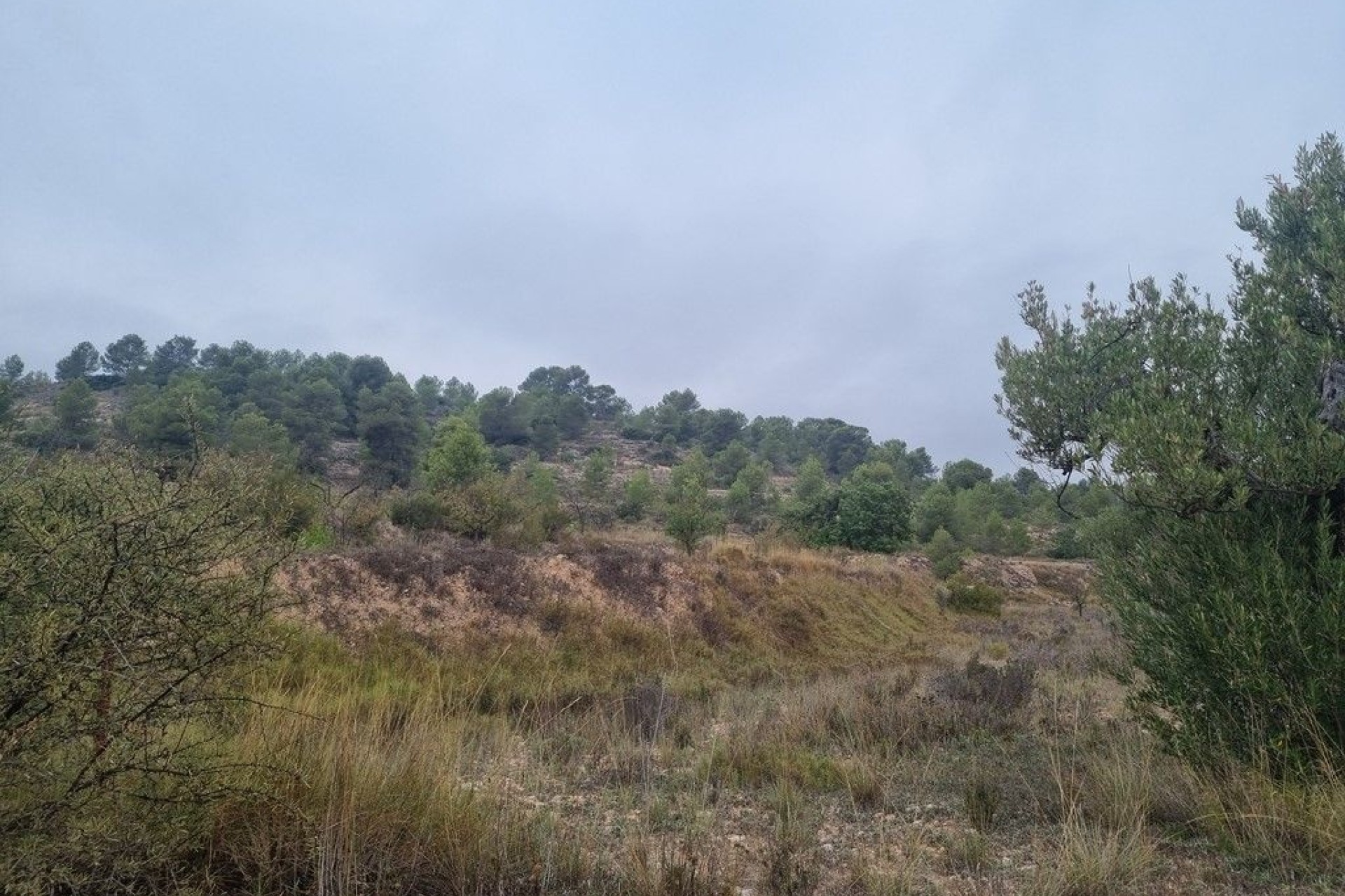 Herverkoop - Finca Landelijk pand -
La Romana