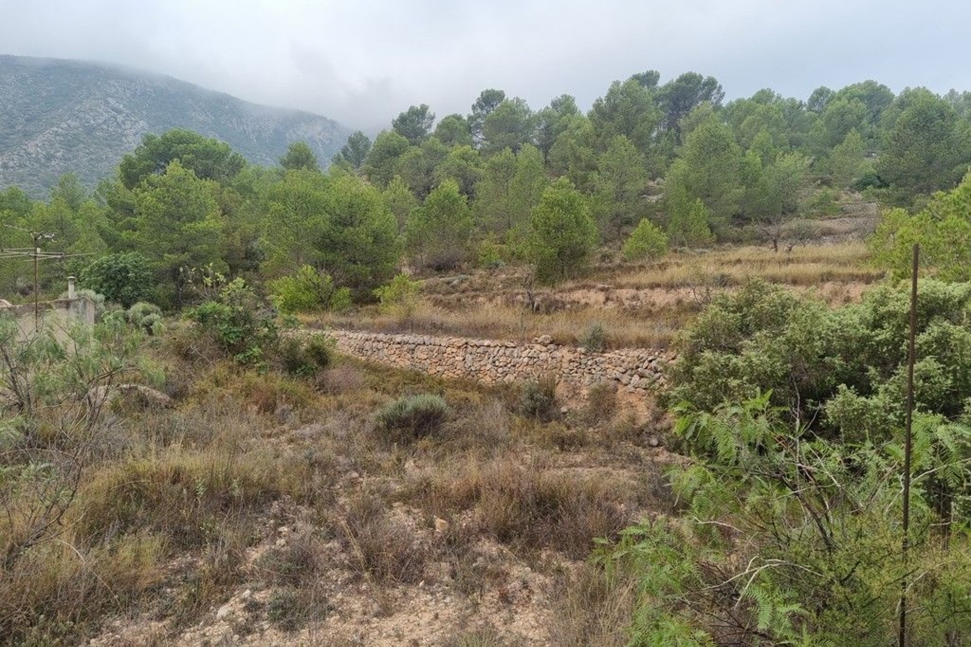 Herverkoop - Finca Landelijk pand -
La Romana