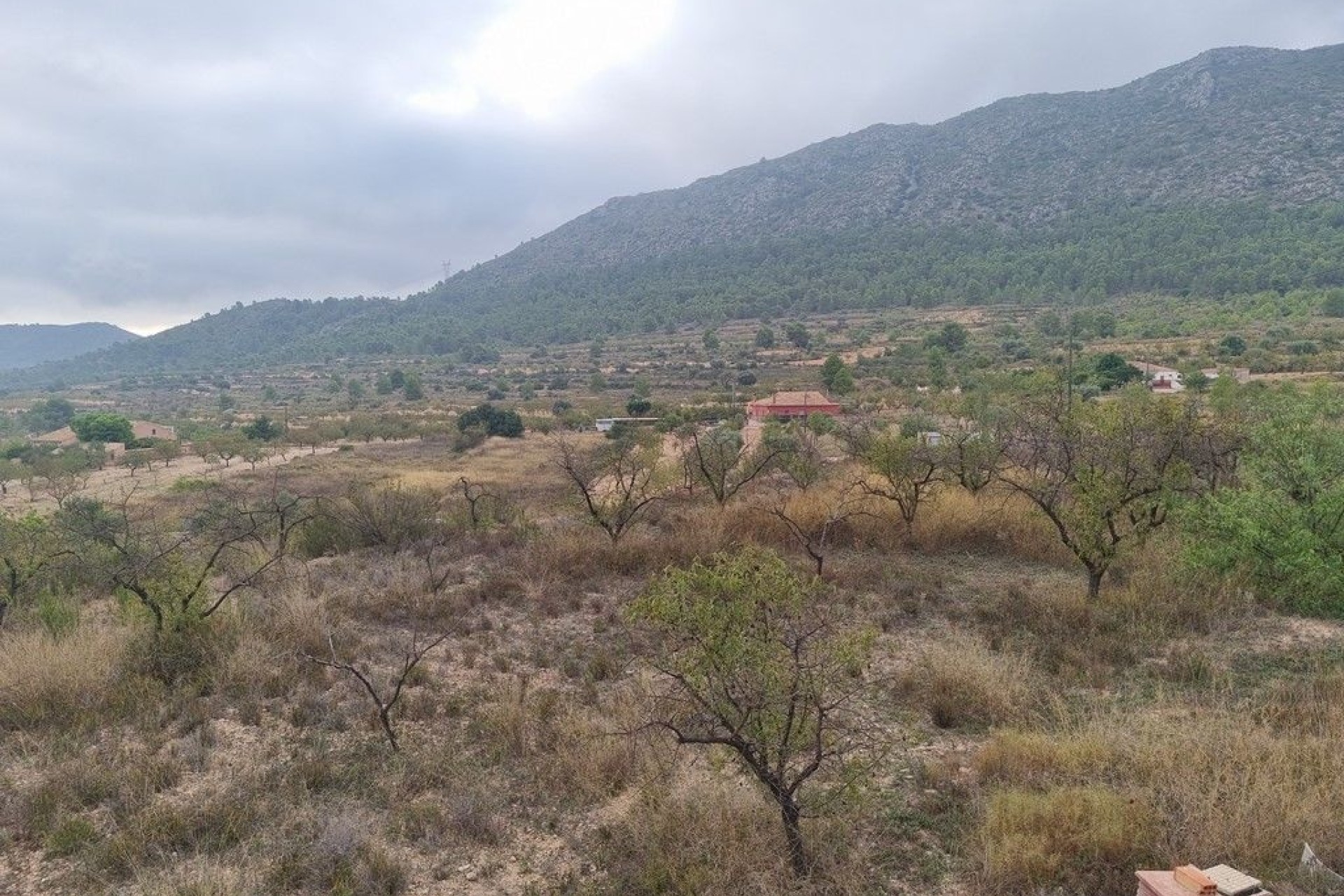 Herverkoop - Finca Landelijk pand -
La Romana