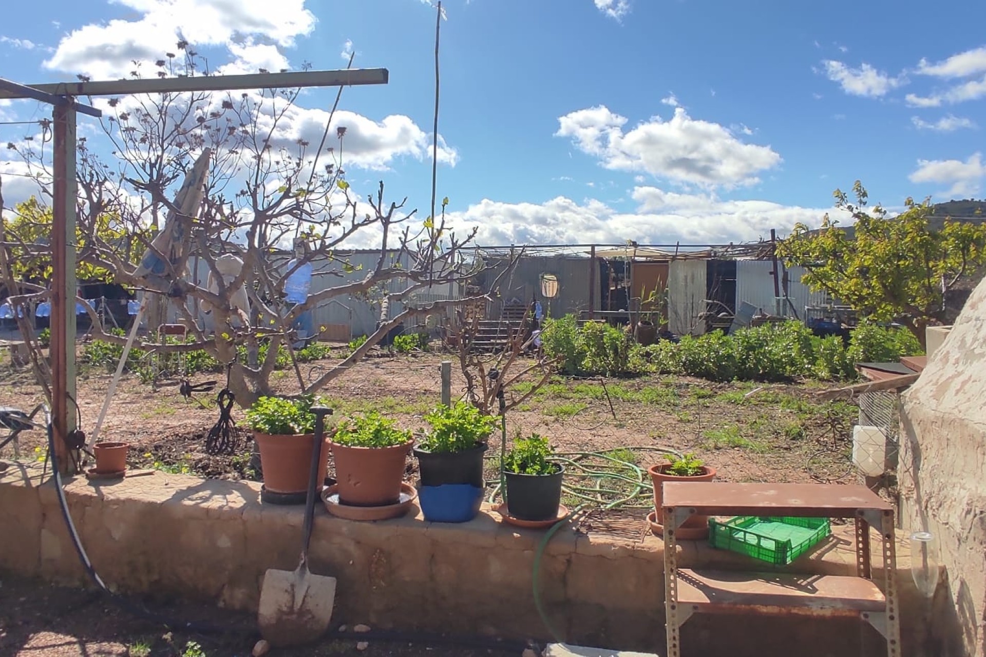 Herverkoop - Finca Landelijk pand -
La Romana