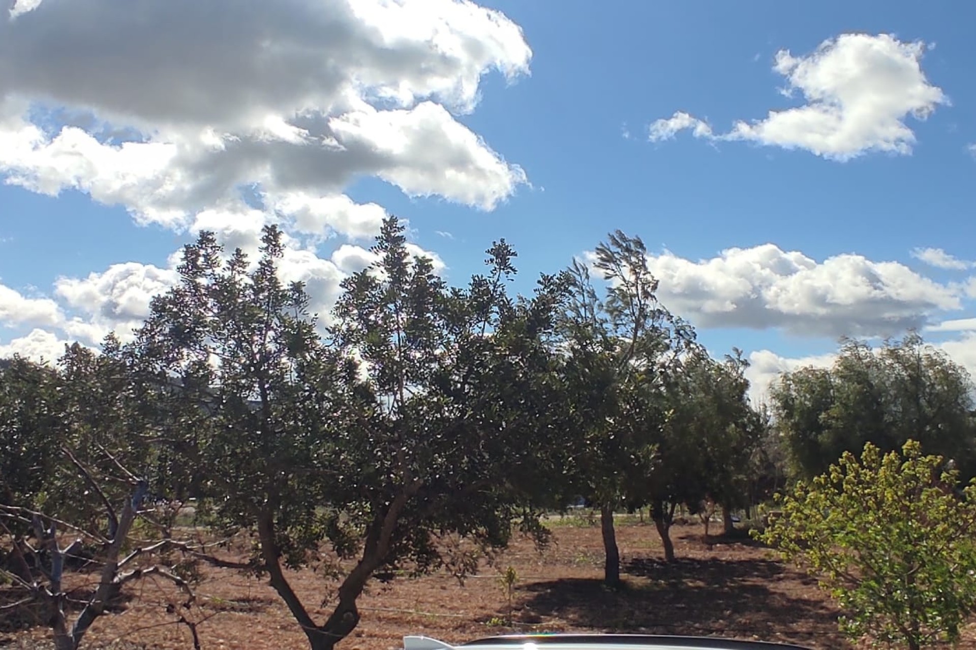 Herverkoop - Finca Landelijk pand -
La Romana