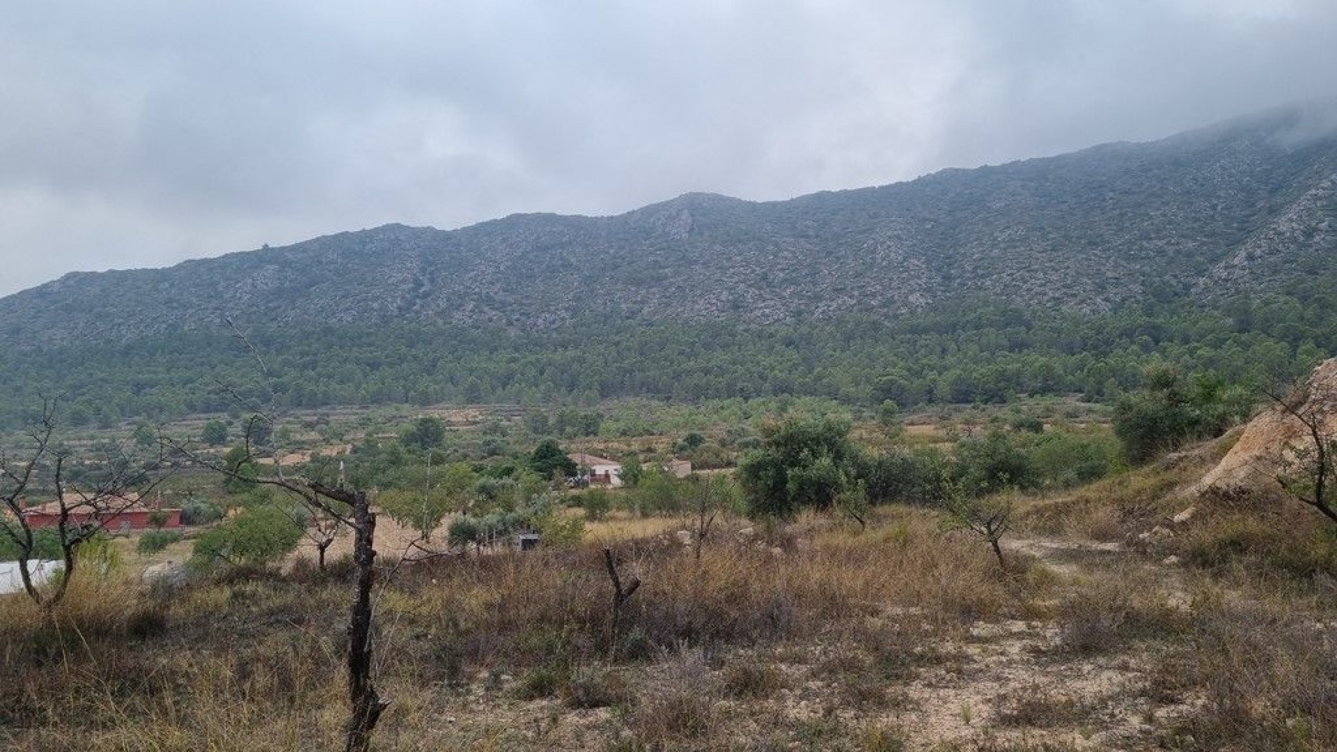 Herverkoop - Finca Landelijk pand -
La Romana