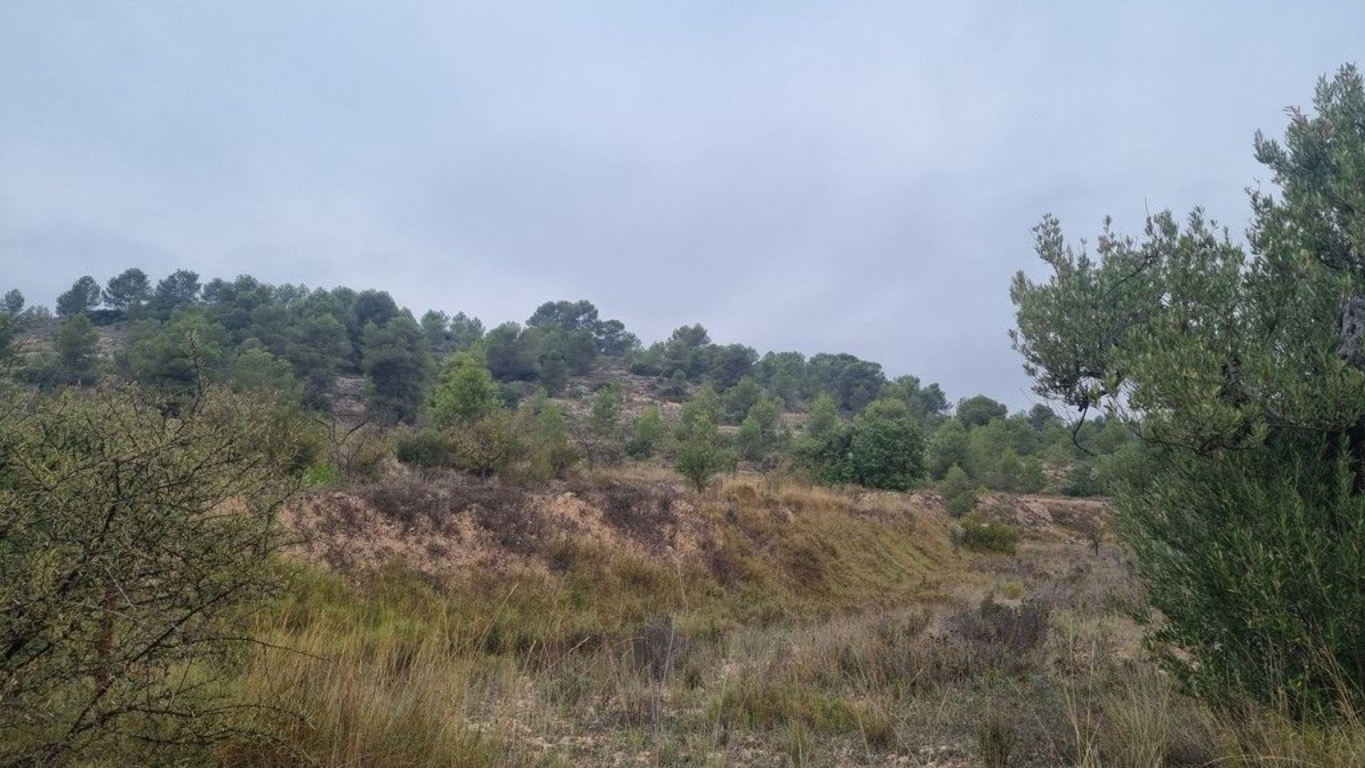 Herverkoop - Finca Landelijk pand -
La Romana