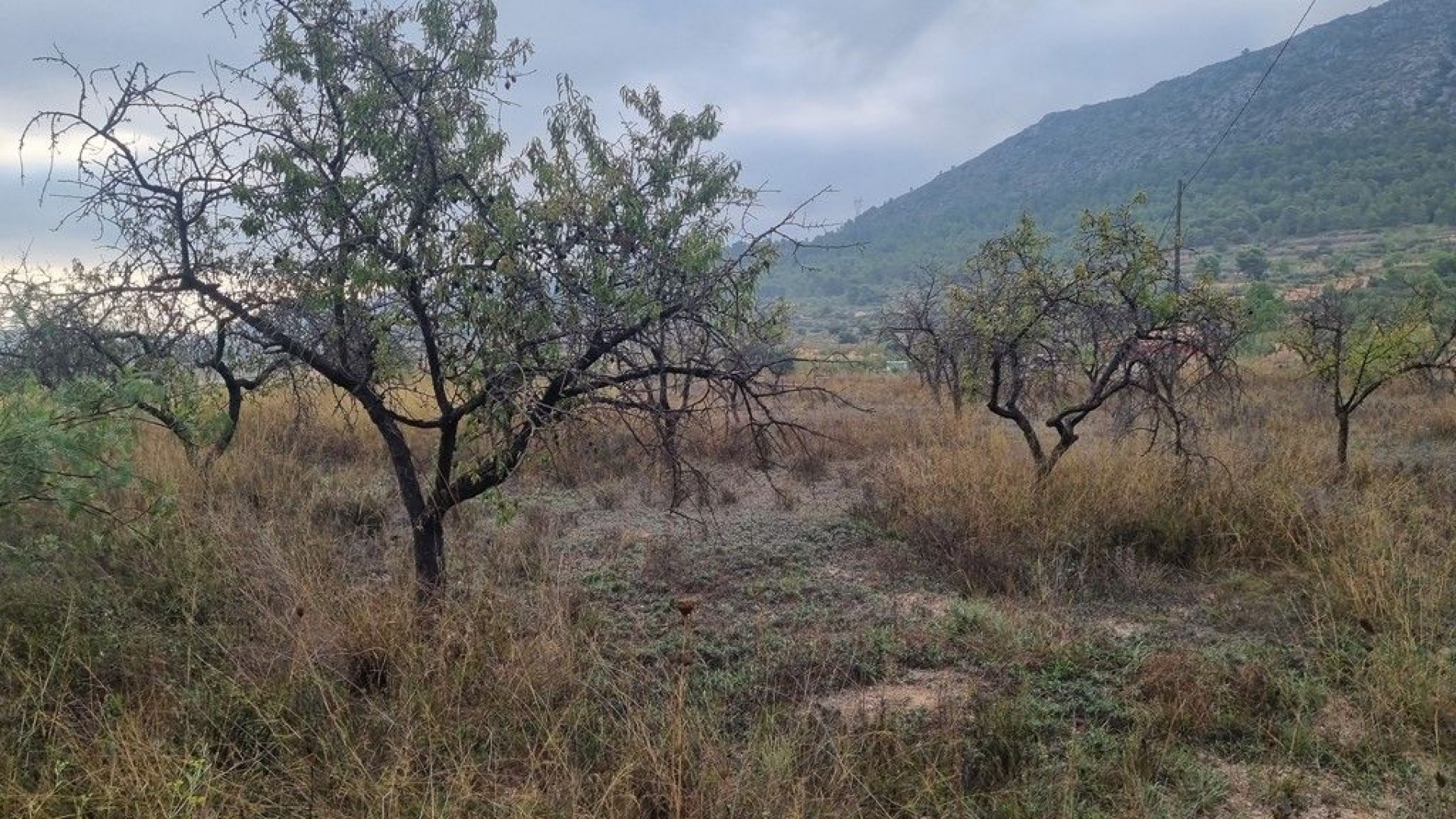 Herverkoop - Finca Landelijk pand -
La Romana