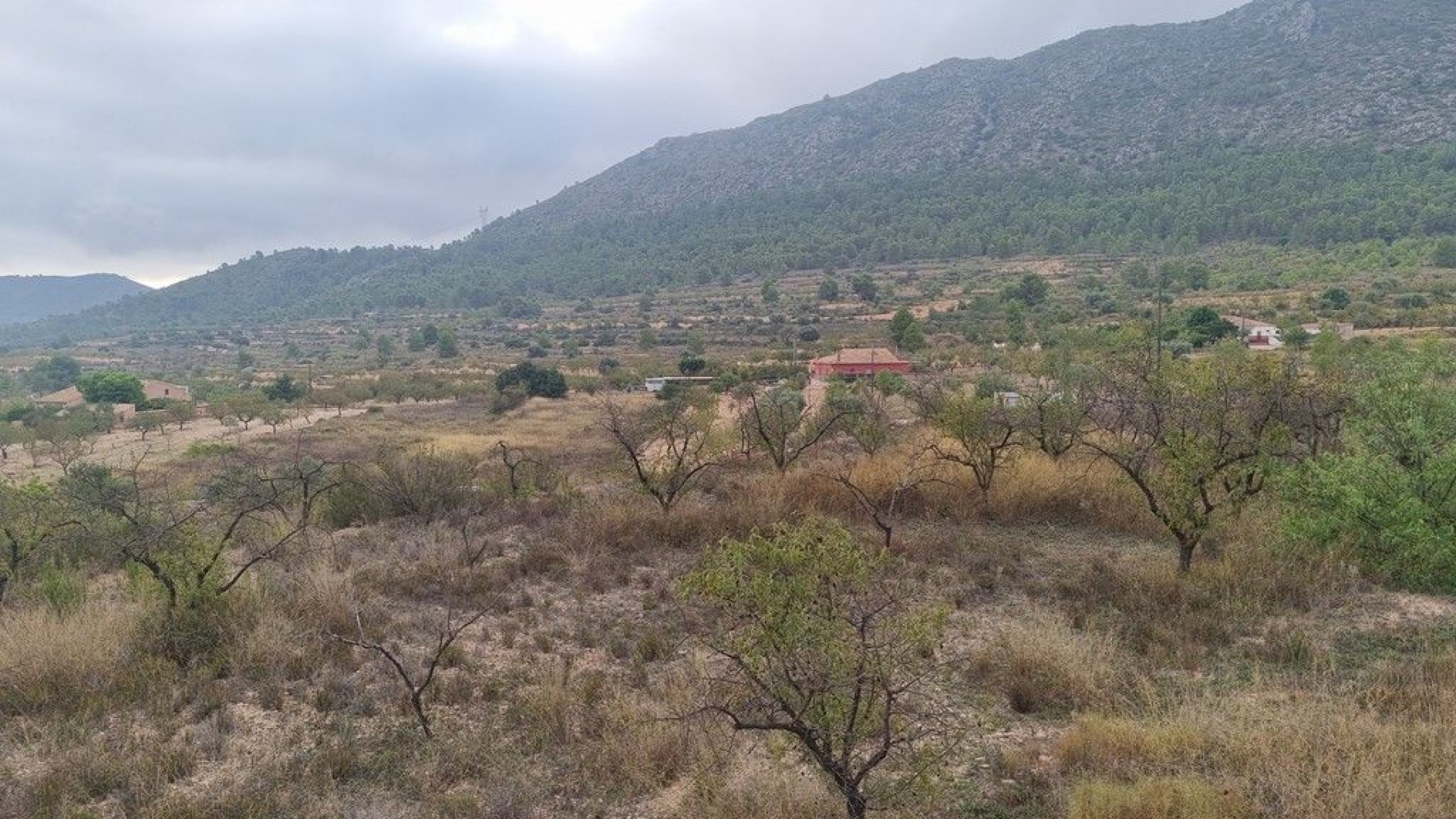 Herverkoop - Finca Landelijk pand -
La Romana