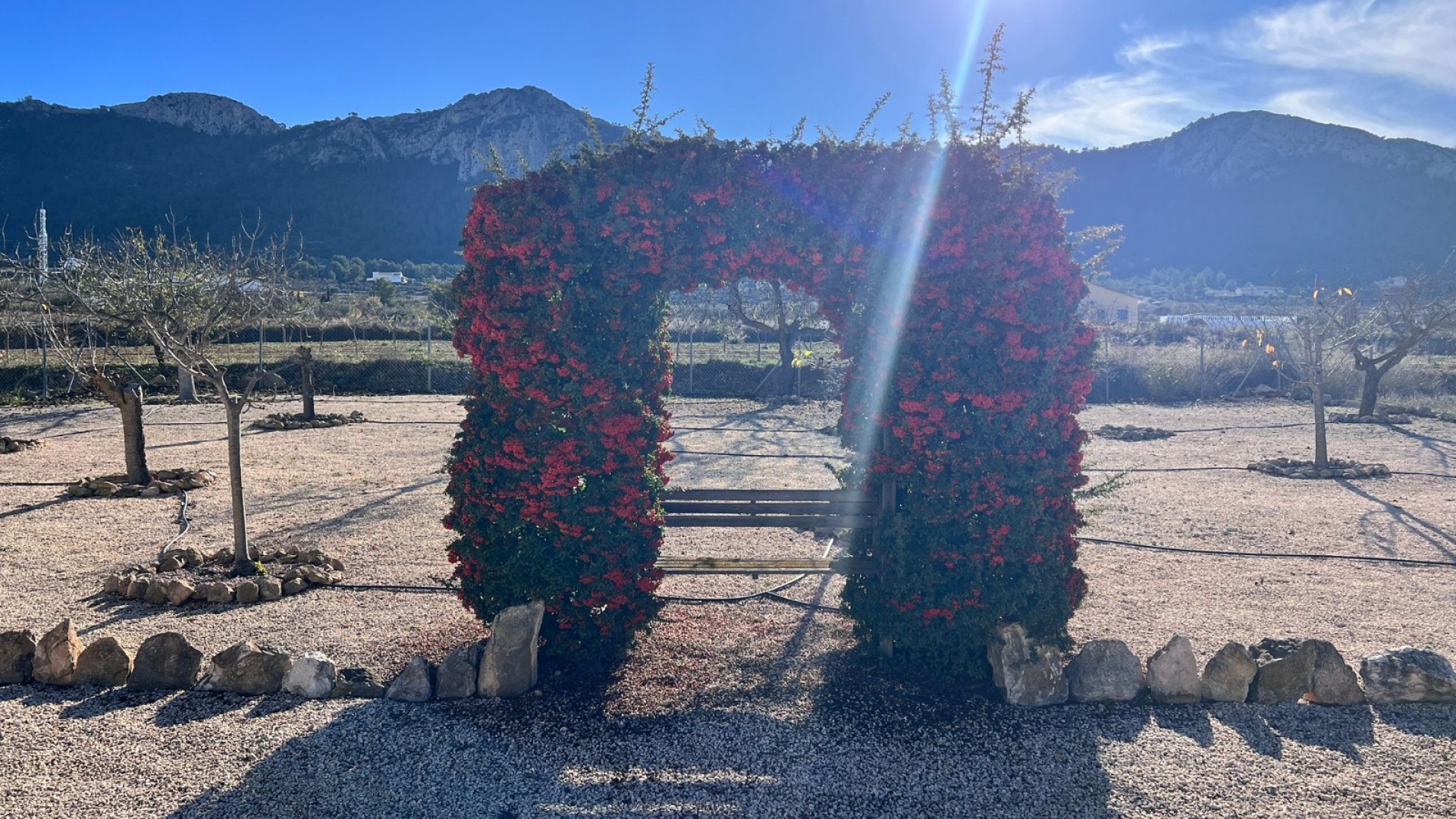 Herverkoop - Finca Landelijk pand -
La Zarza