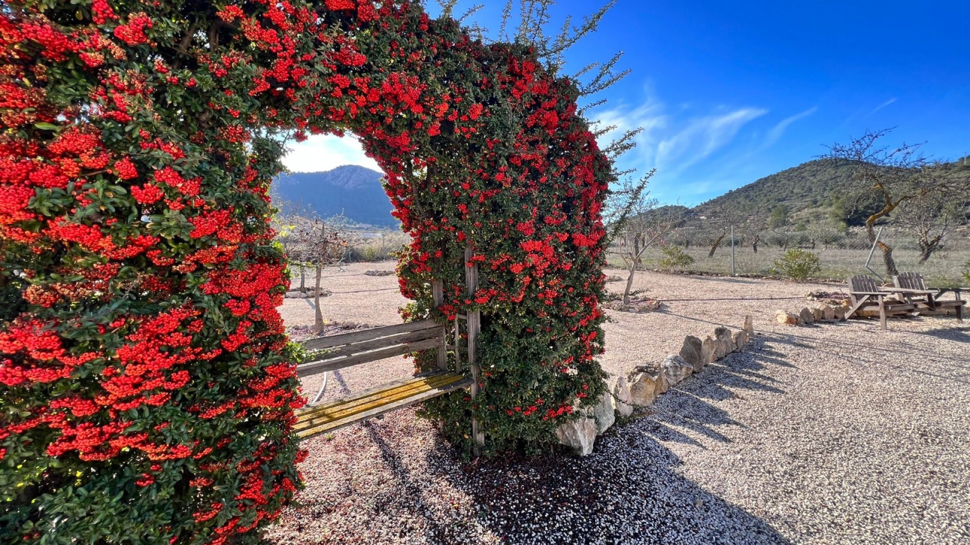 Herverkoop - Finca Landelijk pand -
La Zarza