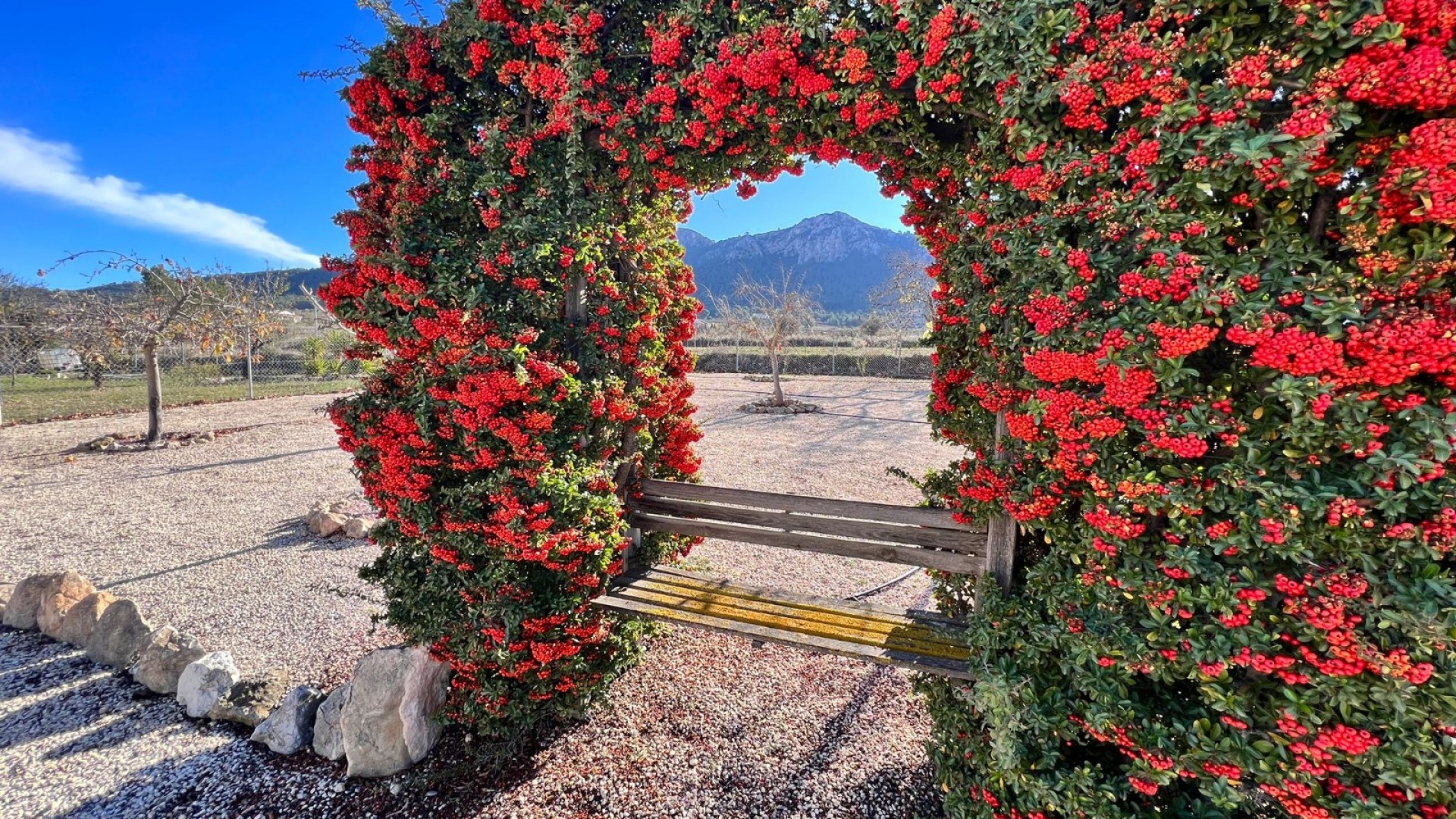 Herverkoop - Finca Landelijk pand -
La Zarza