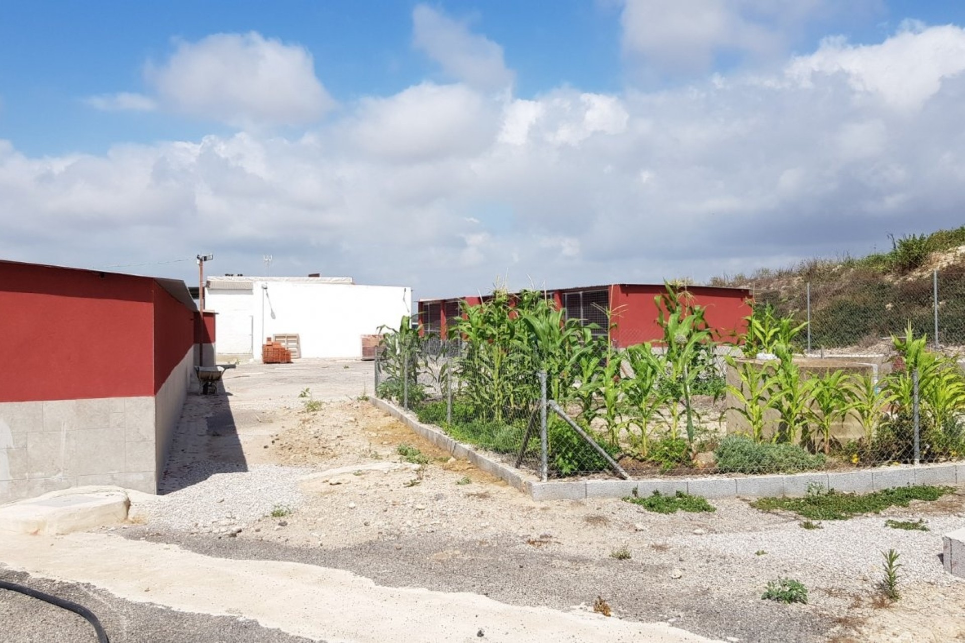 Herverkoop - Finca Landelijk pand -
Los Montesinos - LOS MONTESINOS