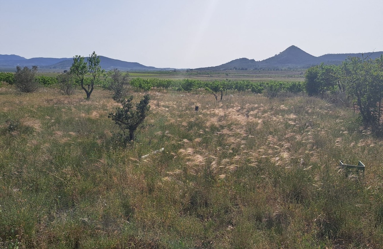 Herverkoop - Finca Landelijk pand -
Monóvar