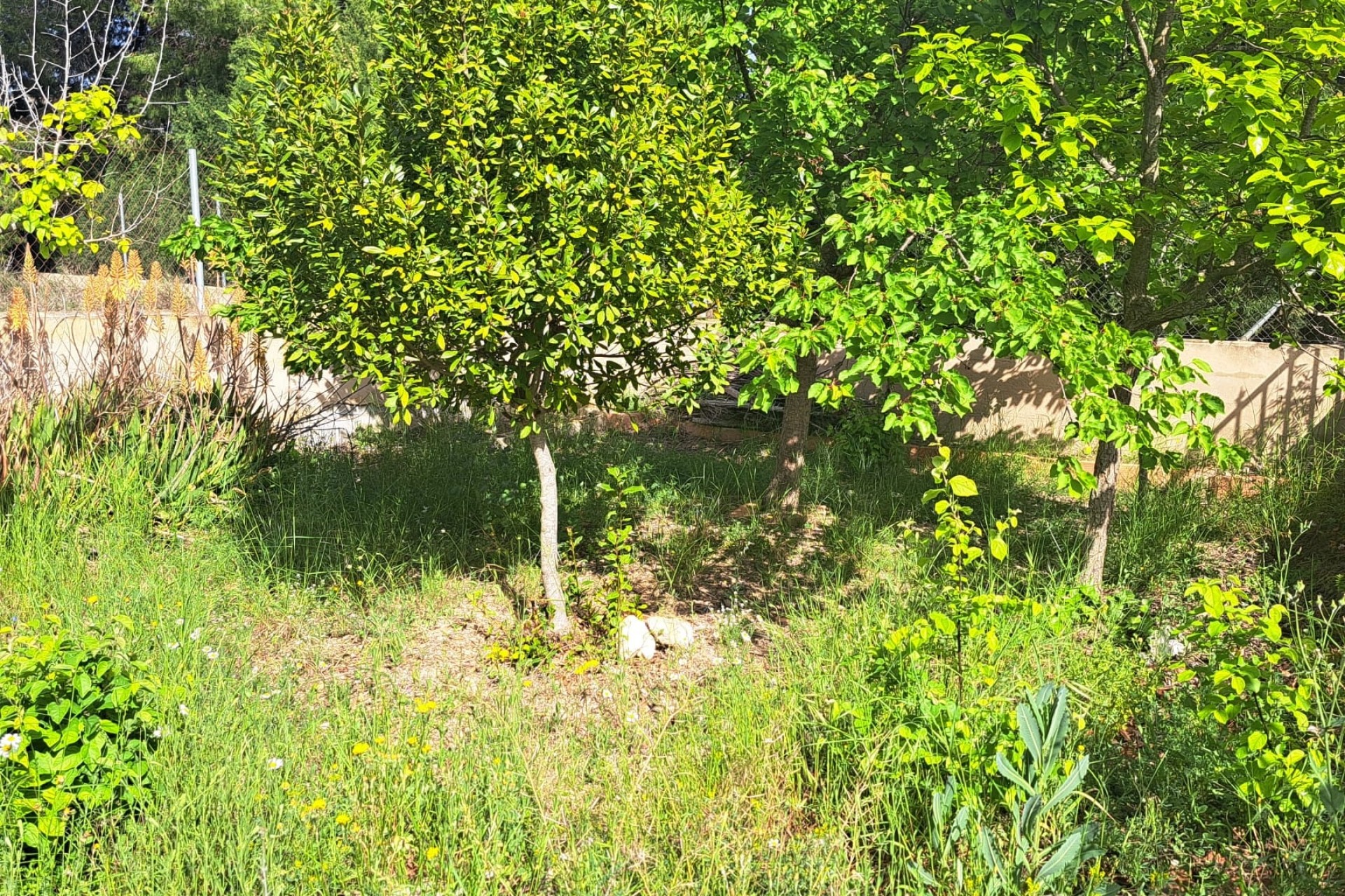 Herverkoop - Finca Landelijk pand -
Monóvar