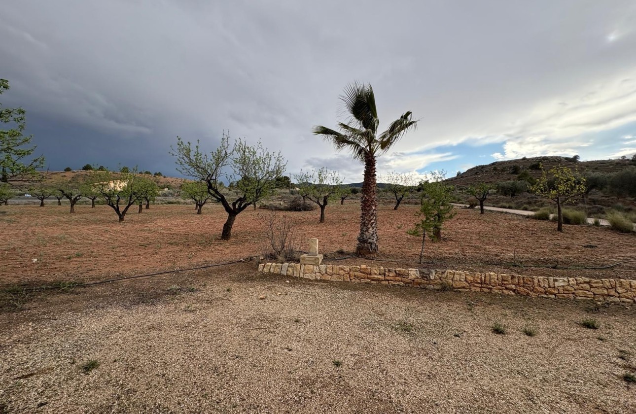 Herverkoop - Finca Landelijk pand -
Monóvar