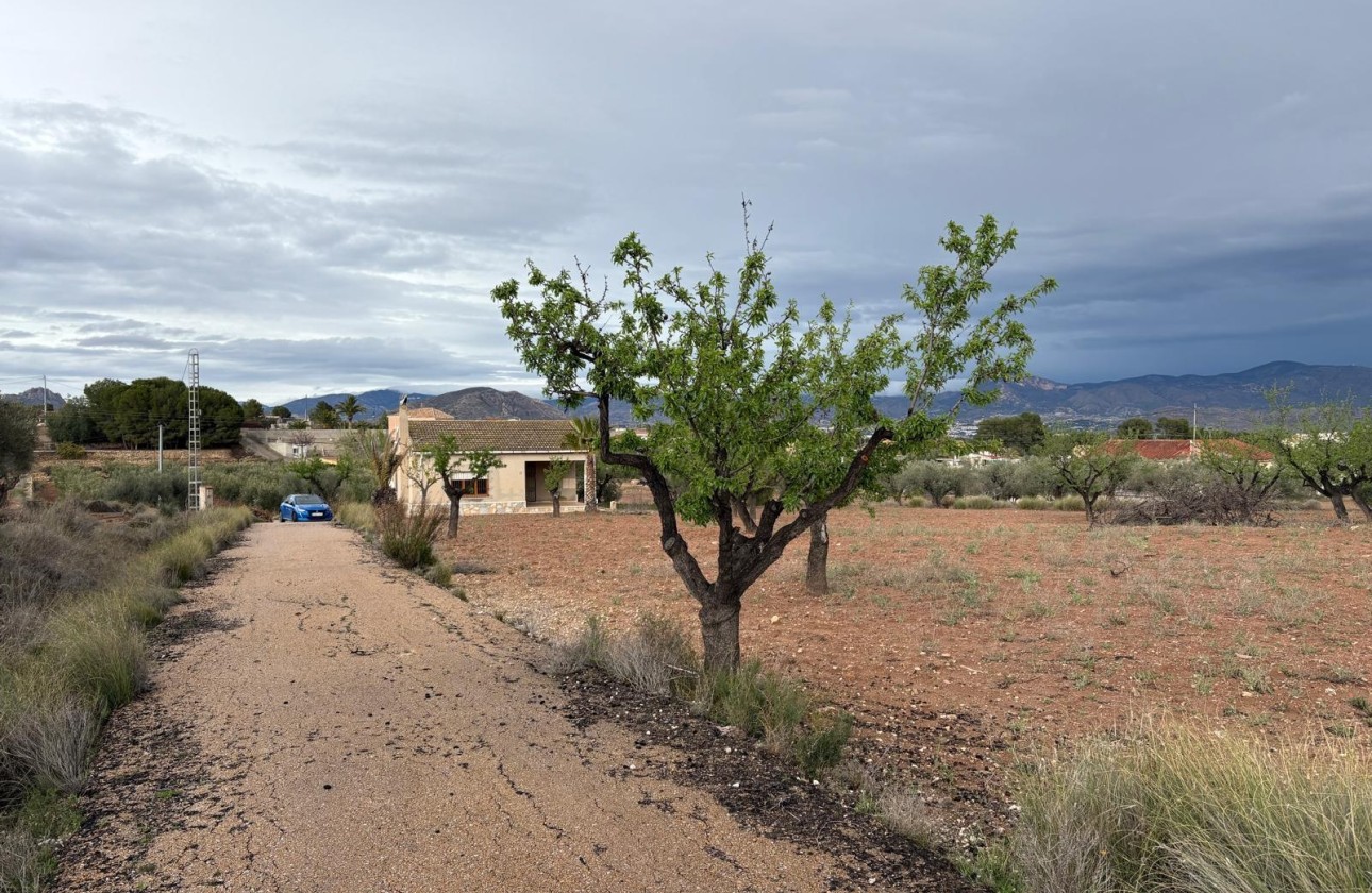 Herverkoop - Finca Landelijk pand -
Monóvar