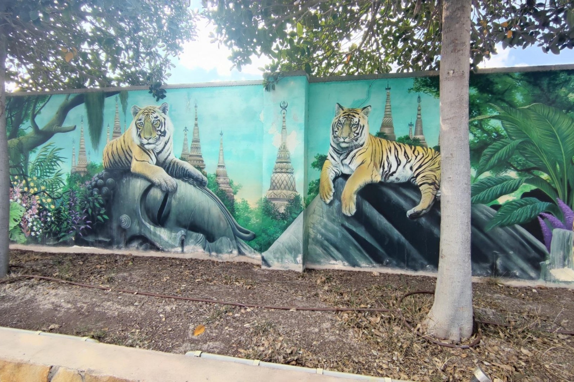 Herverkoop - Finca Landelijk pand -
Mutxamel - MUTXAMIEL