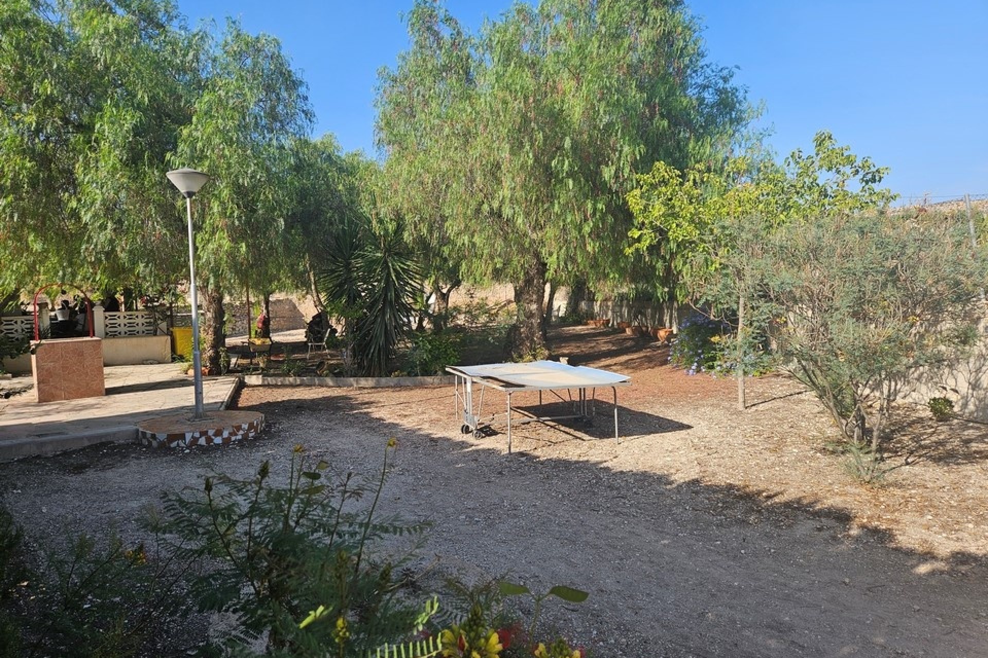 Herverkoop - Finca Landelijk pand -
Novelda