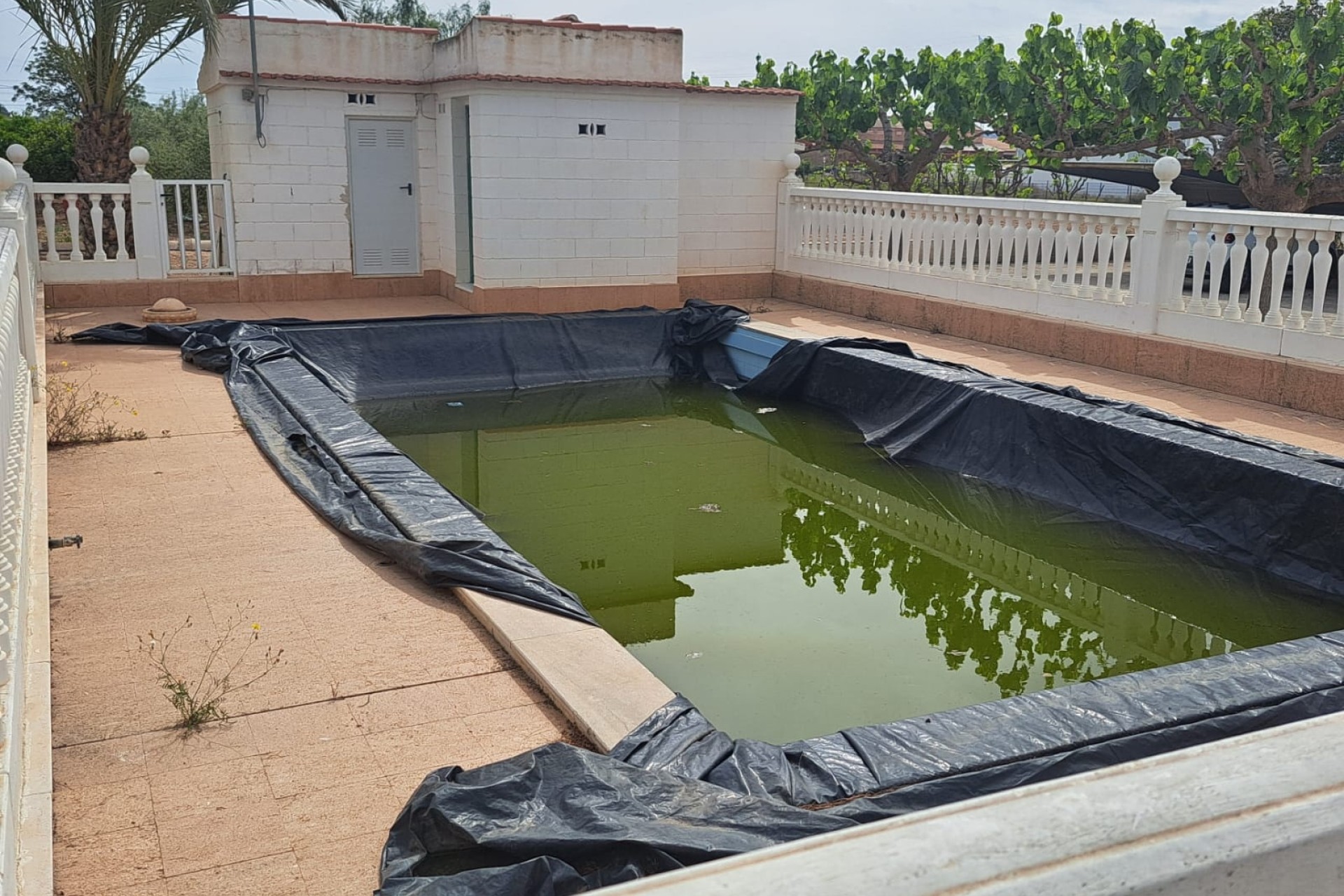 Herverkoop - Finca Landelijk pand -
Novelda