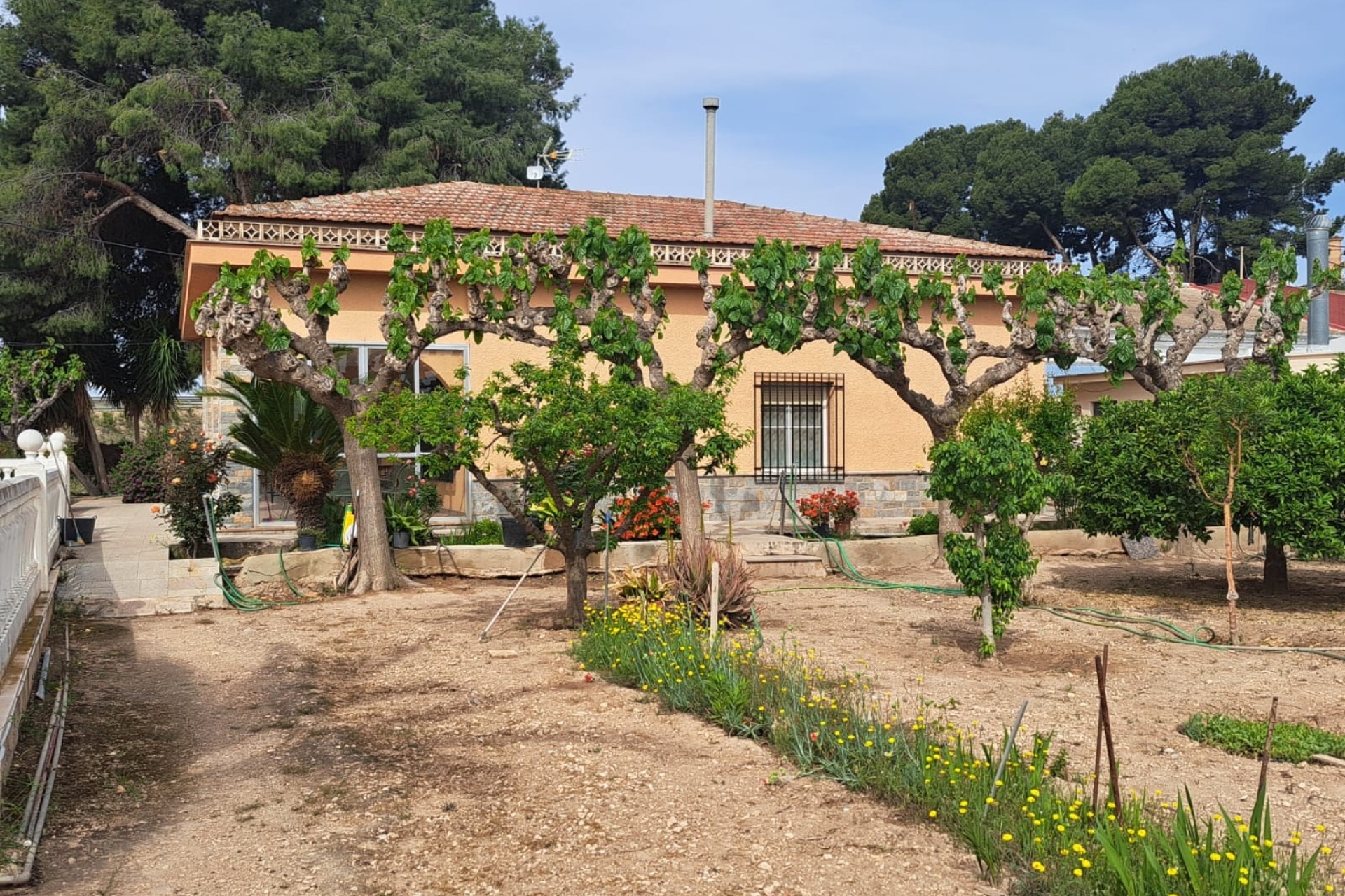 Herverkoop - Finca Landelijk pand -
Novelda