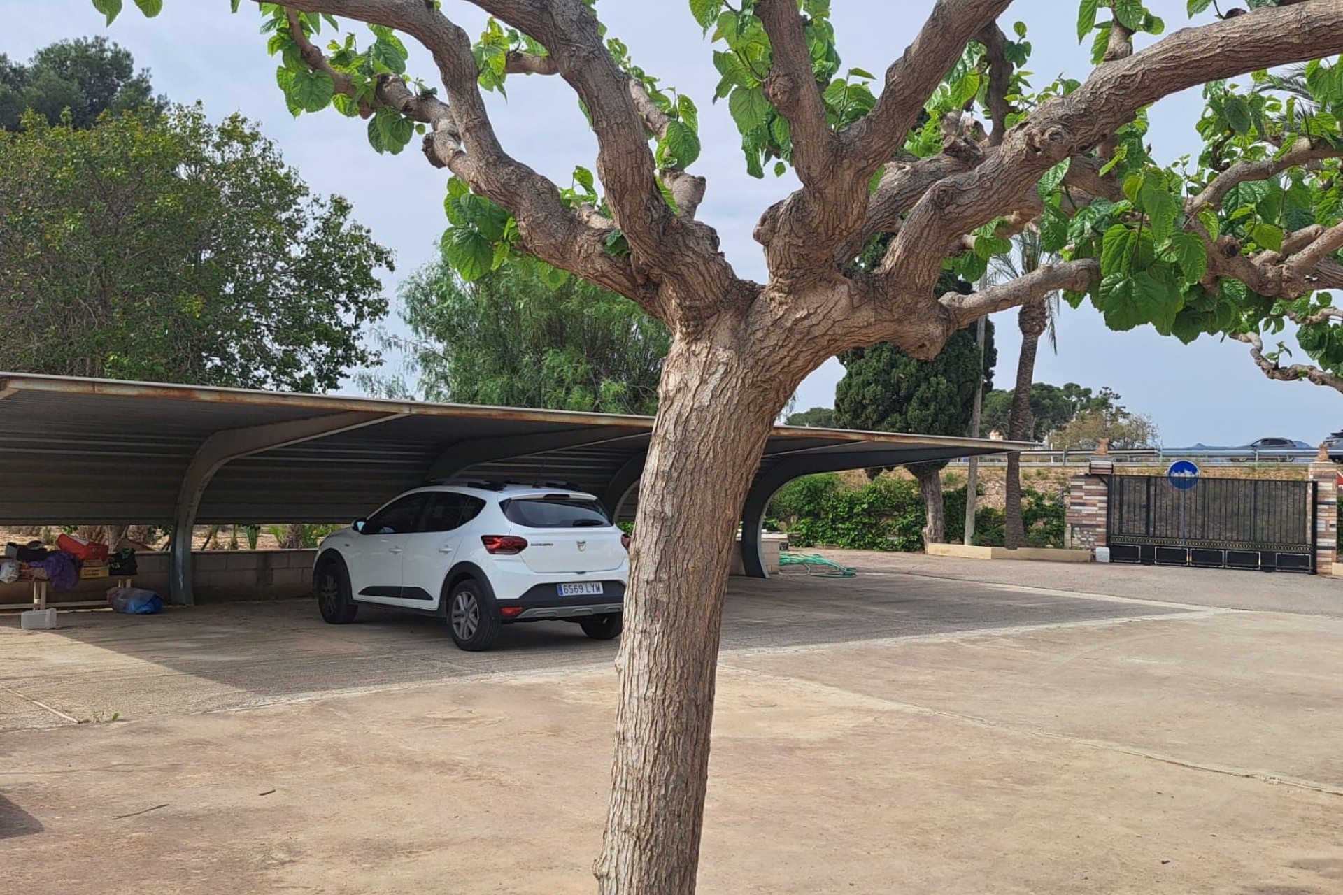 Herverkoop - Finca Landelijk pand -
Novelda