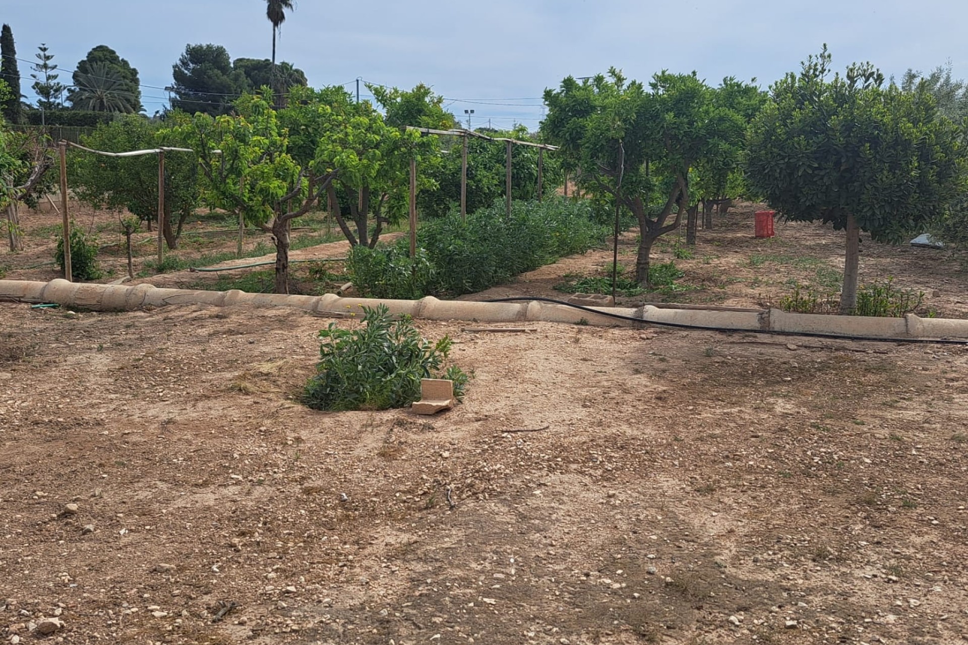 Herverkoop - Finca Landelijk pand -
Novelda