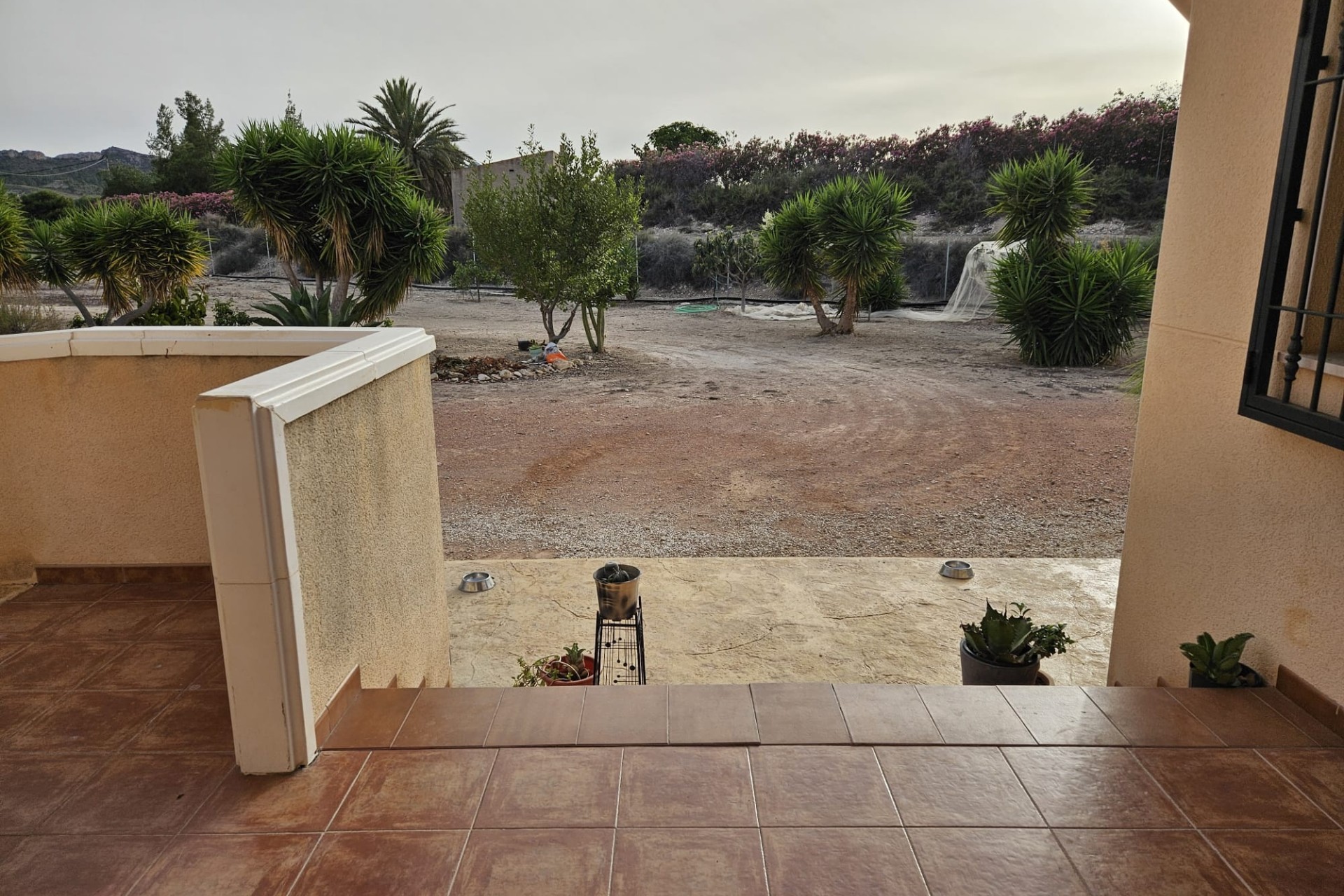 Herverkoop - Finca Landelijk pand -
Novelda