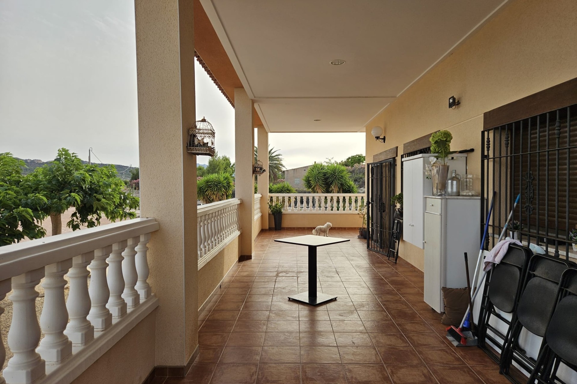 Herverkoop - Finca Landelijk pand -
Novelda