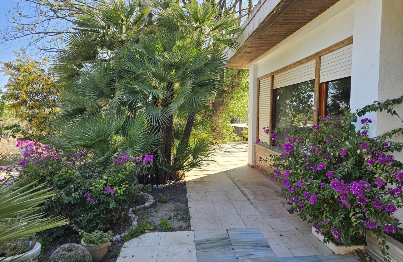 Herverkoop - Finca Landelijk pand -
Novelda