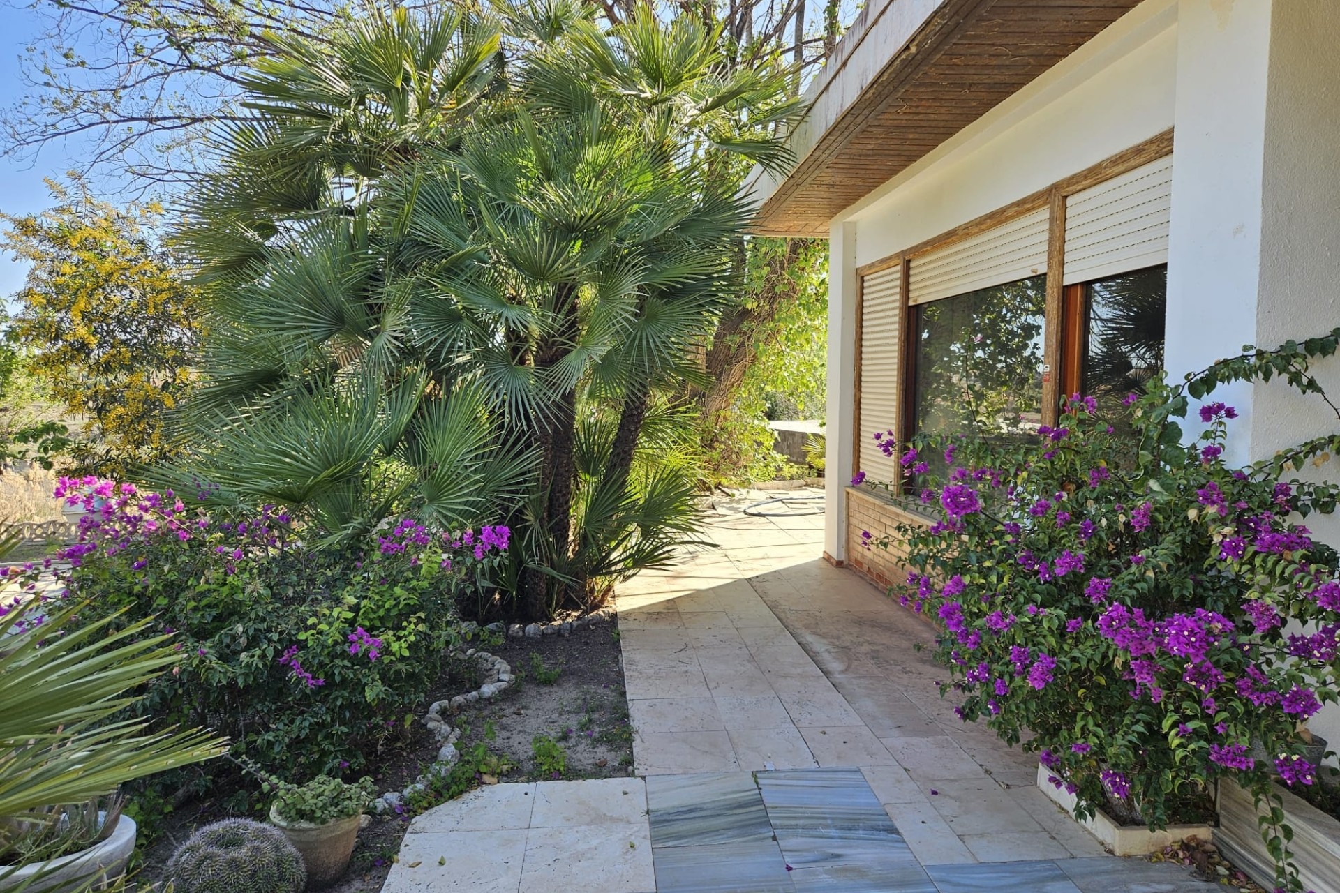 Herverkoop - Finca Landelijk pand -
Novelda