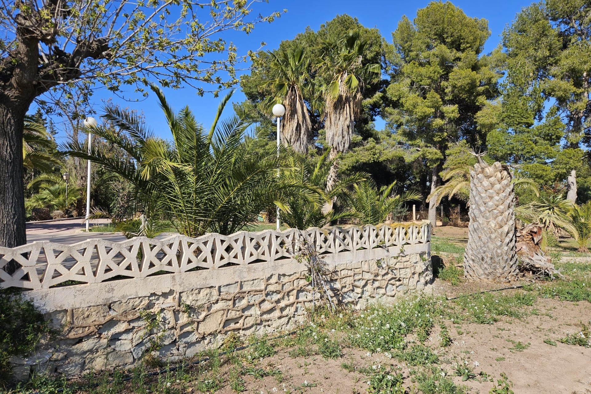 Herverkoop - Finca Landelijk pand -
Novelda