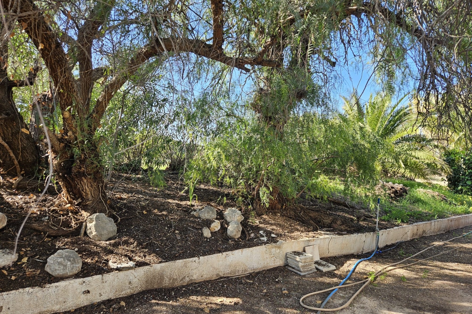 Herverkoop - Finca Landelijk pand -
Novelda