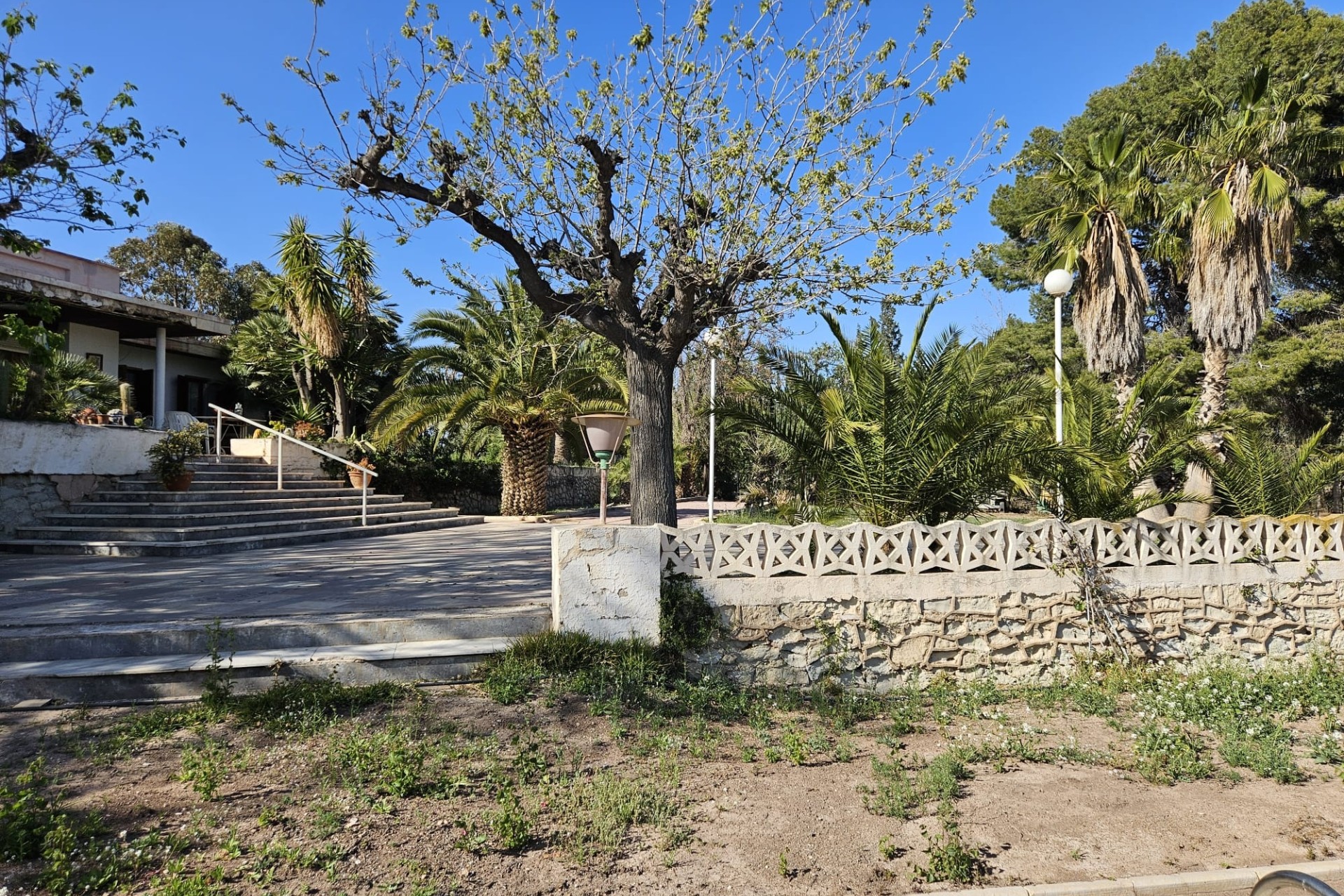 Herverkoop - Finca Landelijk pand -
Novelda