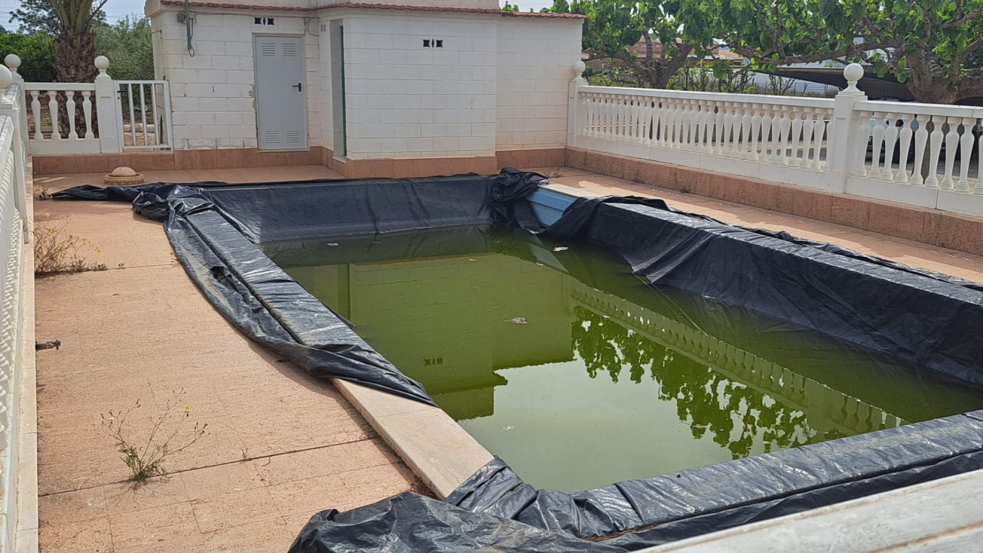 Herverkoop - Finca Landelijk pand -
Novelda