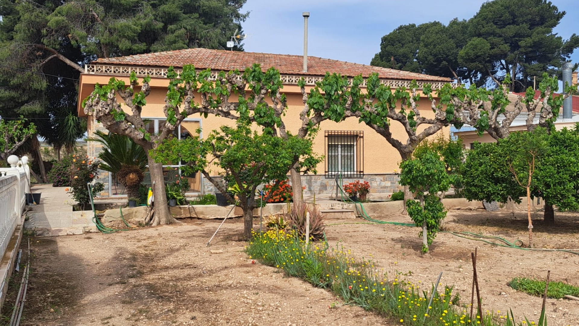 Herverkoop - Finca Landelijk pand -
Novelda