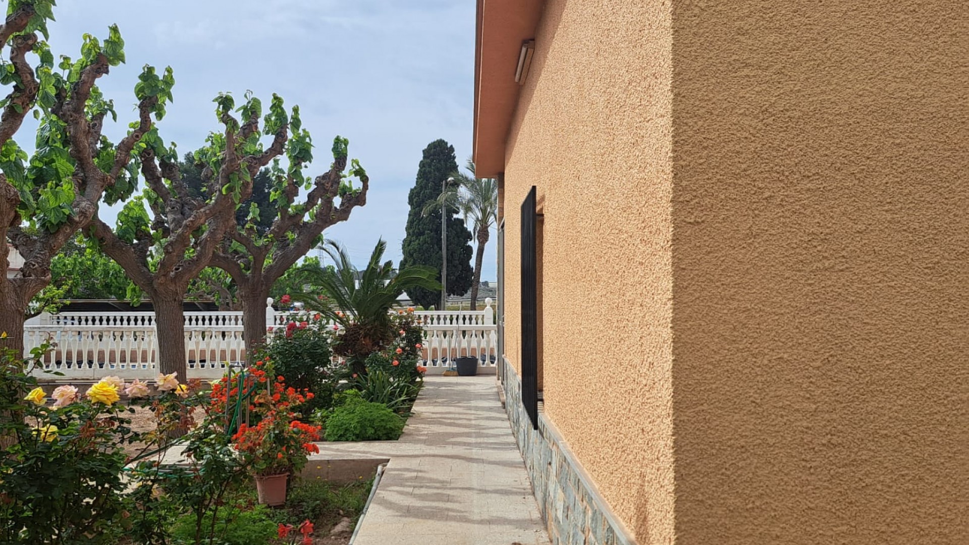 Herverkoop - Finca Landelijk pand -
Novelda