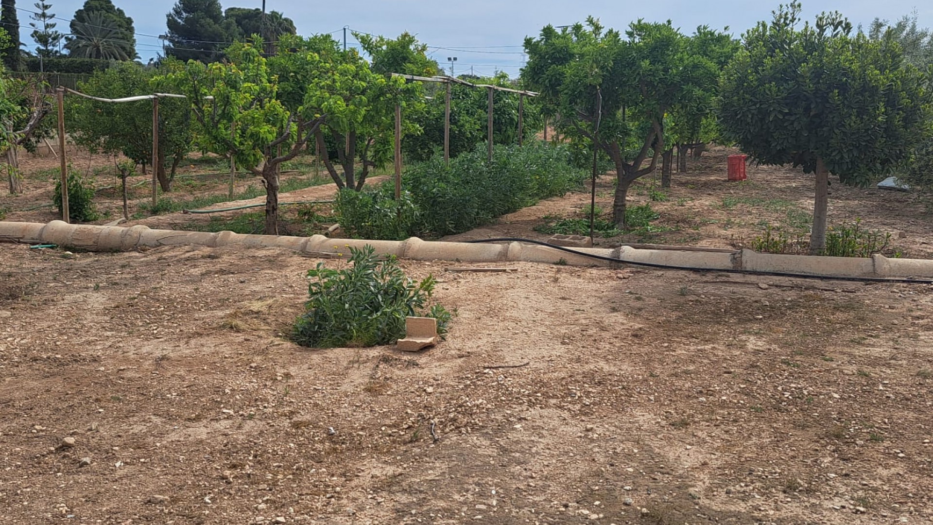 Herverkoop - Finca Landelijk pand -
Novelda