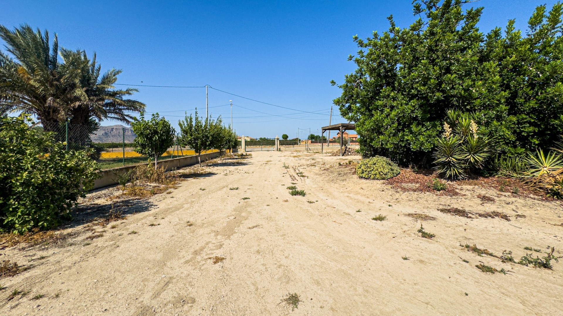 Herverkoop - Finca Landelijk pand -
Orihuela