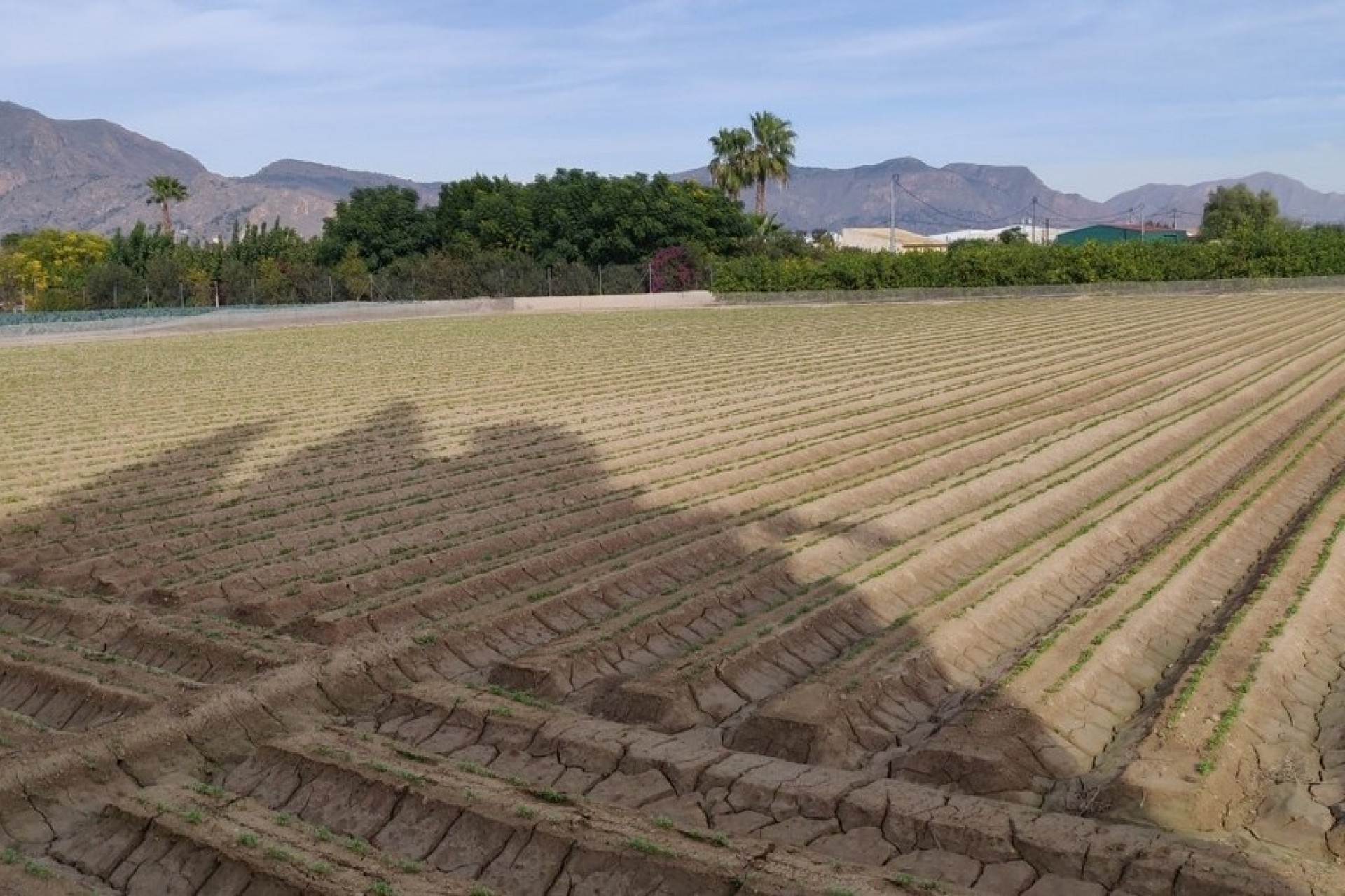 Herverkoop - Finca Landelijk pand -
Orihuela