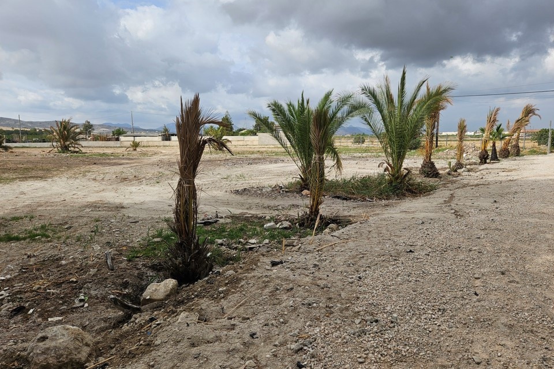 Herverkoop - Finca Landelijk pand -
Orihuela