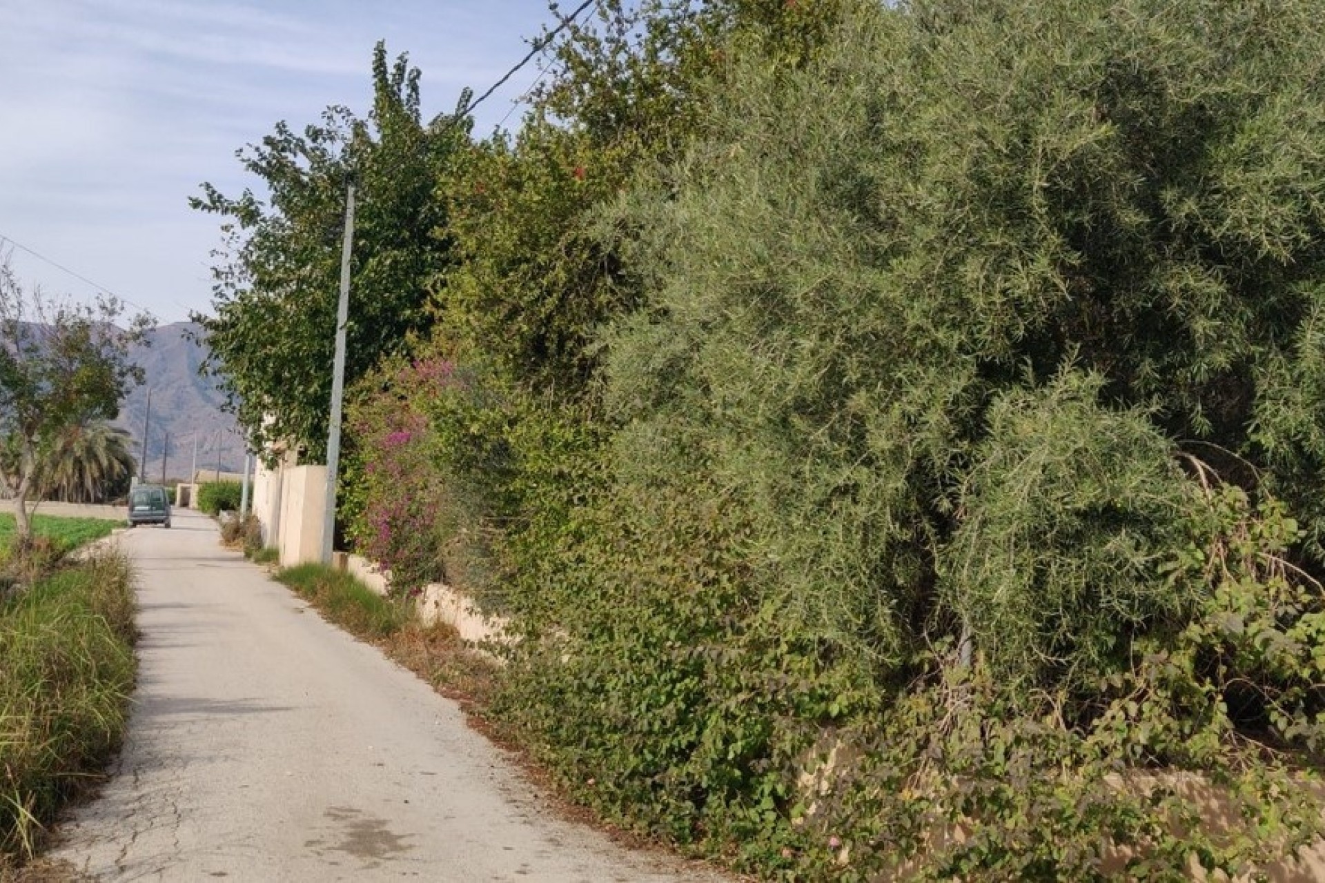 Herverkoop - Finca Landelijk pand -
Orihuela