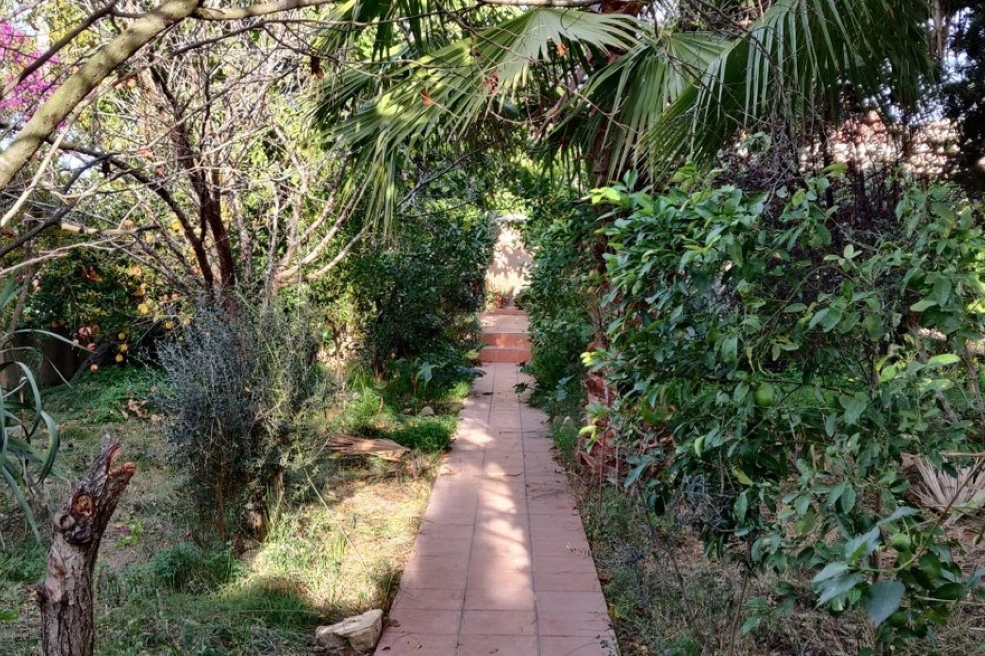 Herverkoop - Finca Landelijk pand -
Orihuela