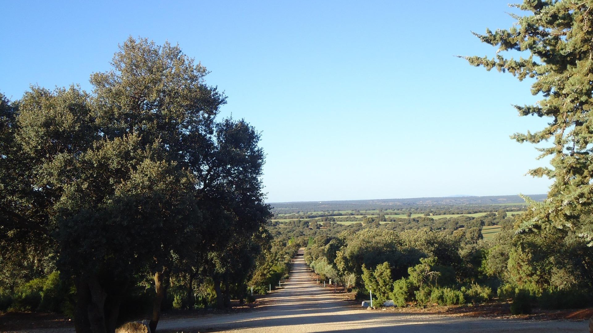 Herverkoop - Finca Landelijk pand -
Ossa de Montiel - Lagunas de ruidera
