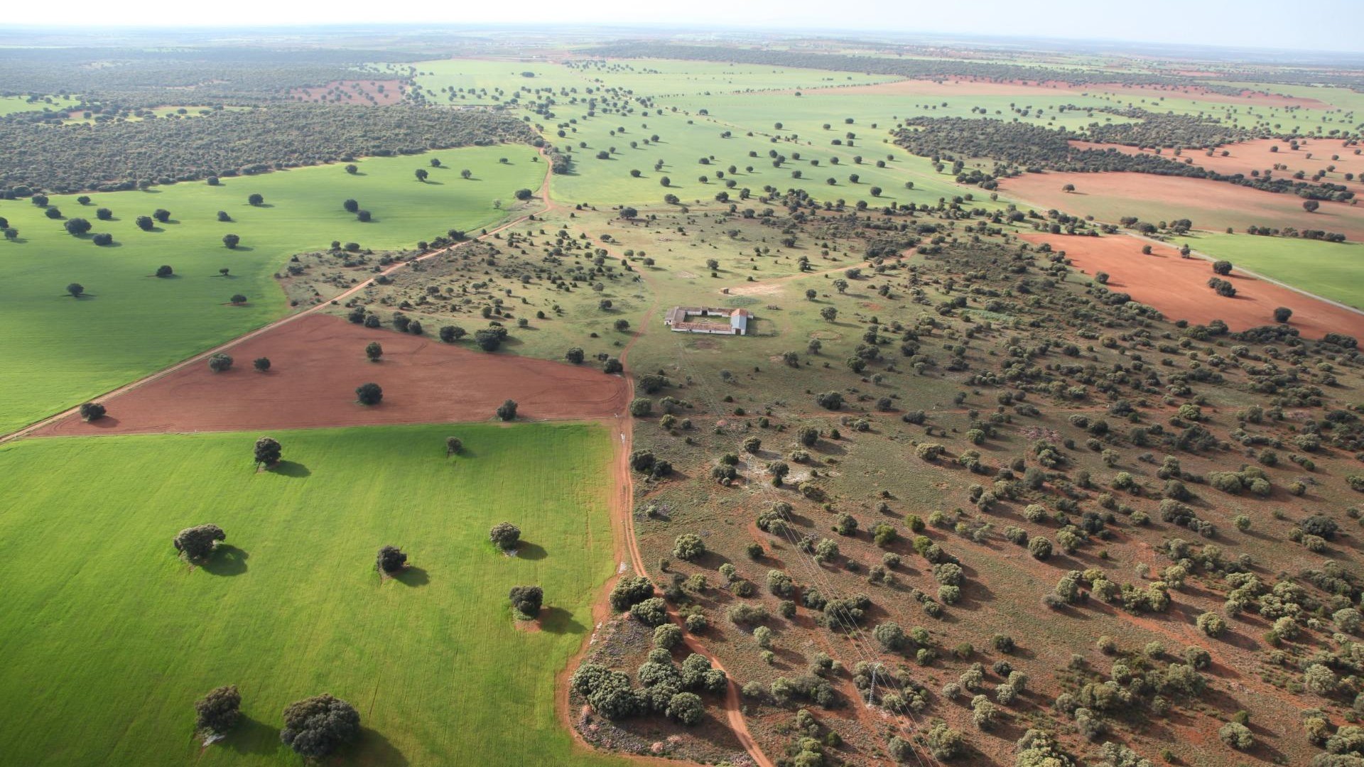 Herverkoop - Finca Landelijk pand -
Ossa de Montiel - Lagunas de ruidera