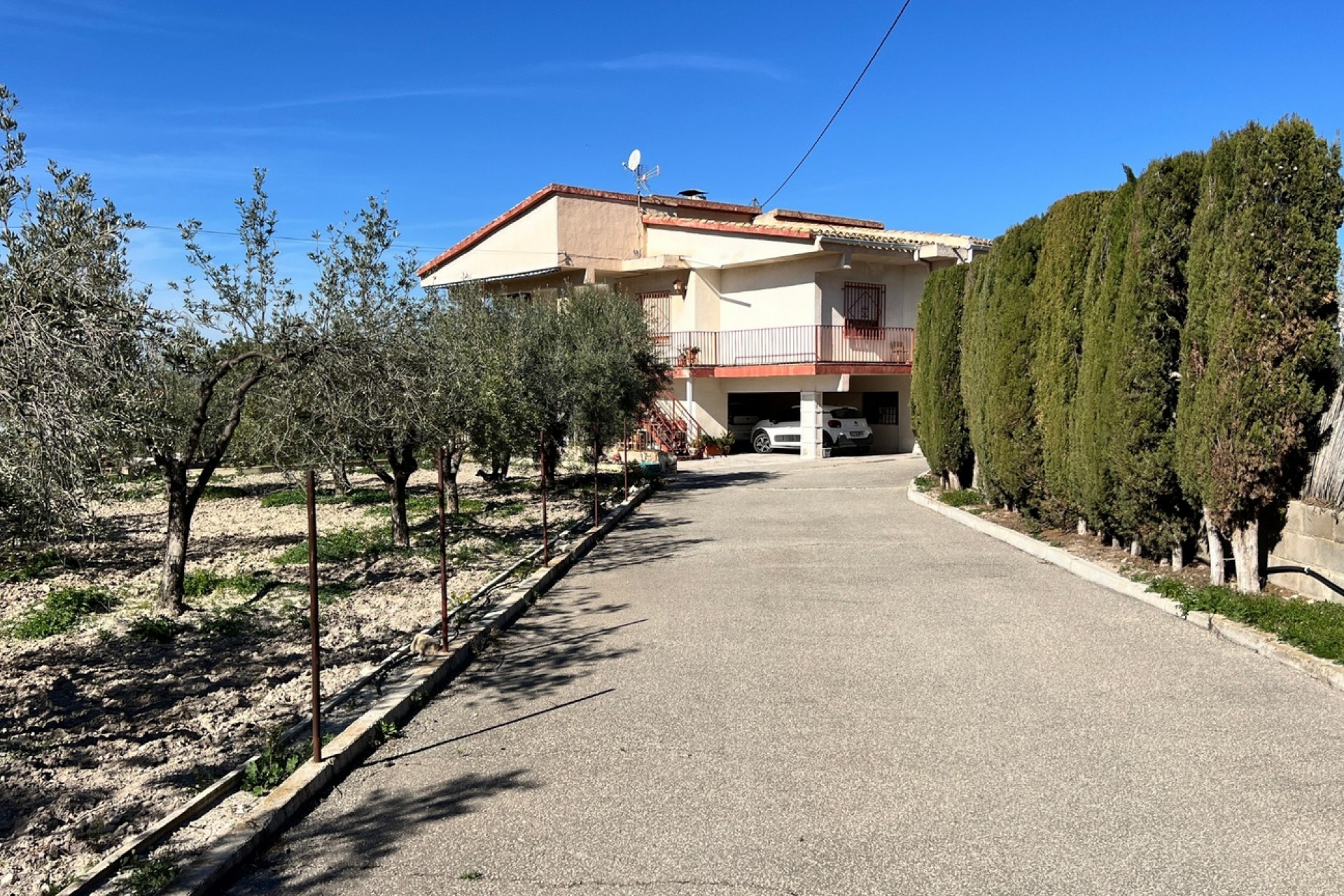 Herverkoop - Finca Landelijk pand -
Petrer