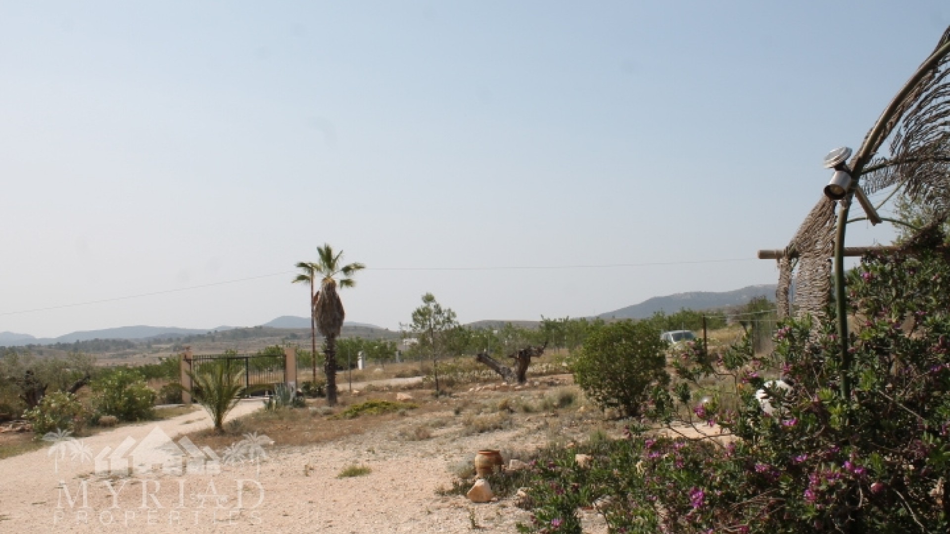 Herverkoop - Finca Landelijk pand -
Pinoso - Pinoso Alicante