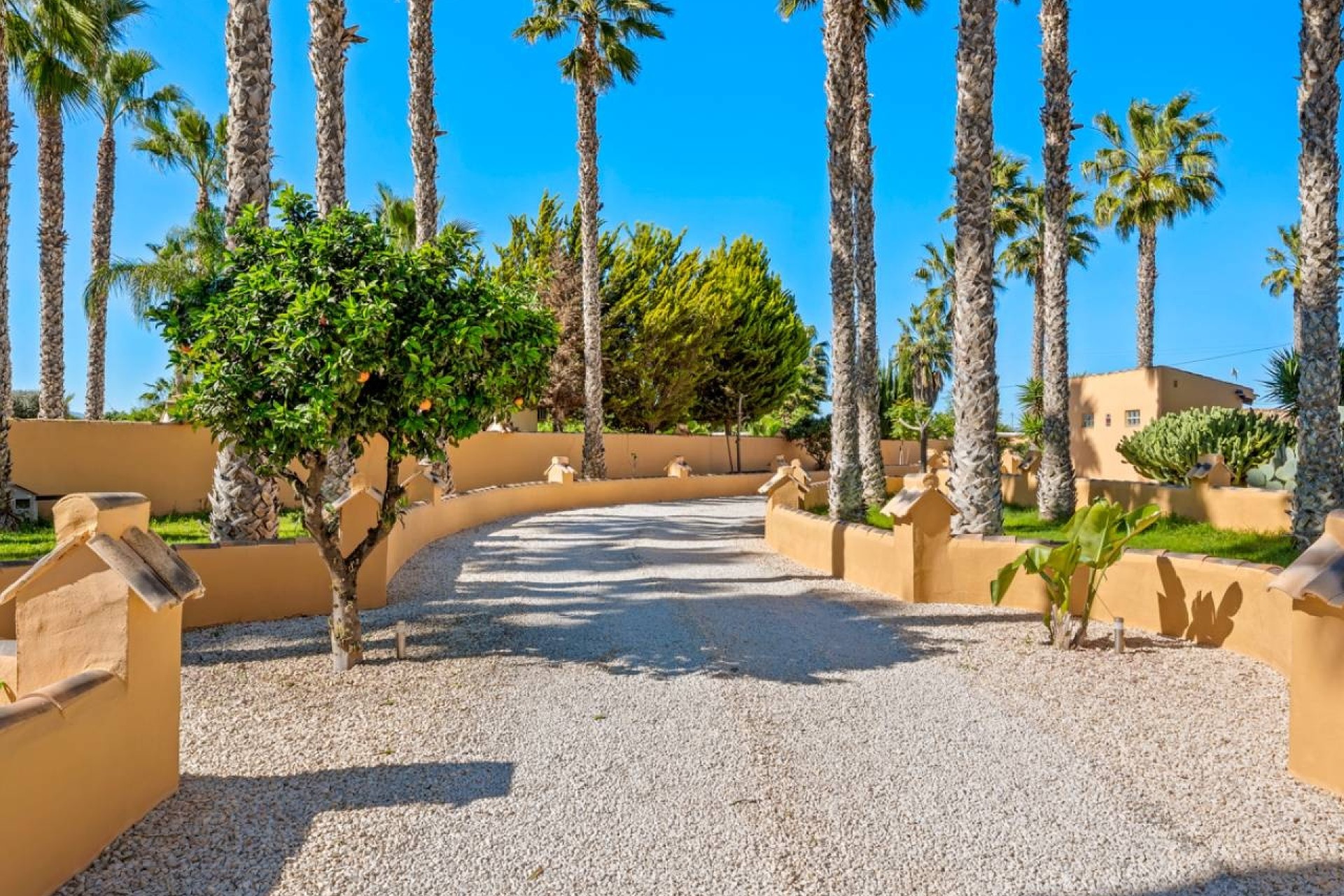 Herverkoop - Finca Landelijk pand -
Rafal