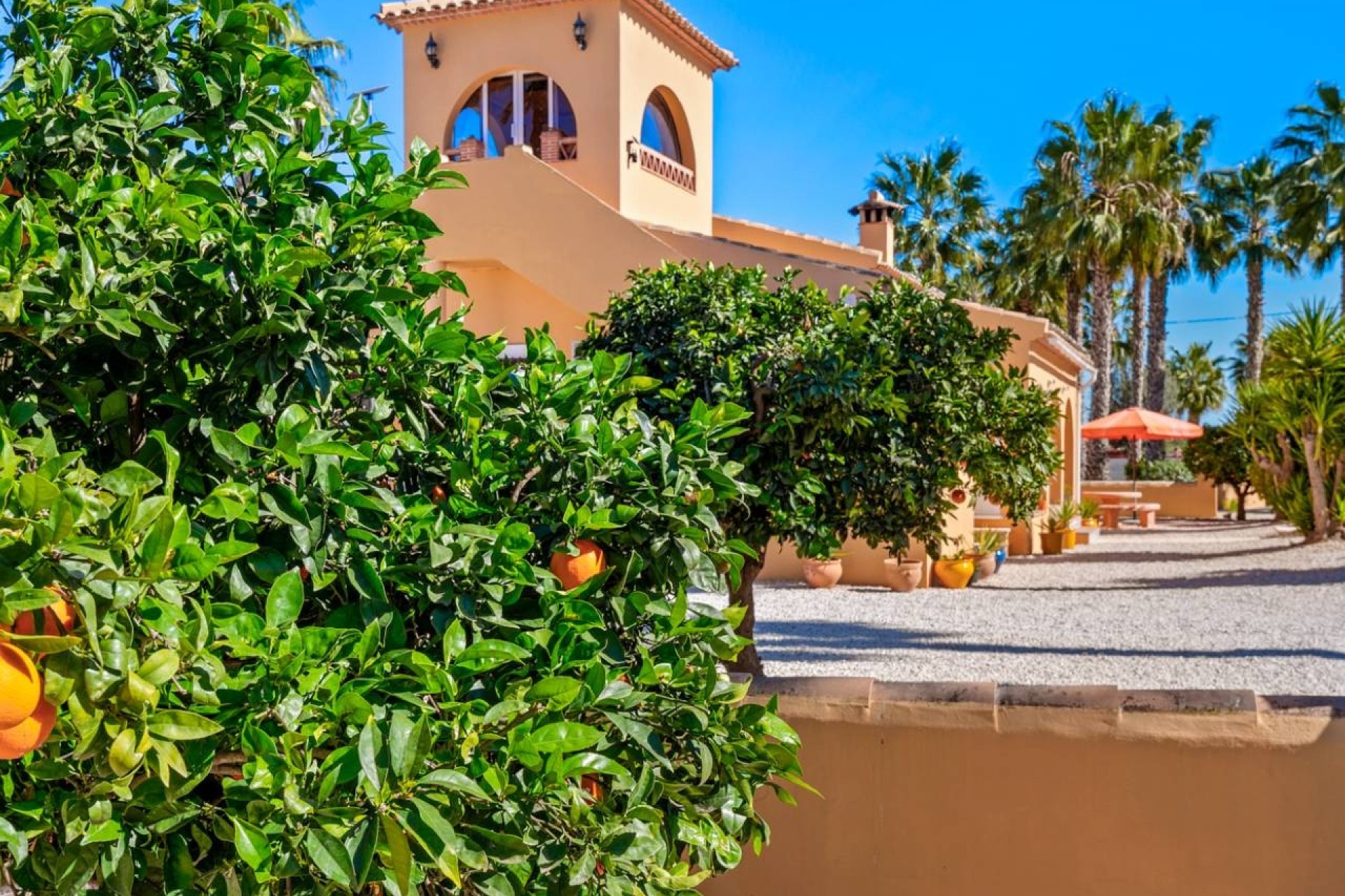 Herverkoop - Finca Landelijk pand -
Rafal