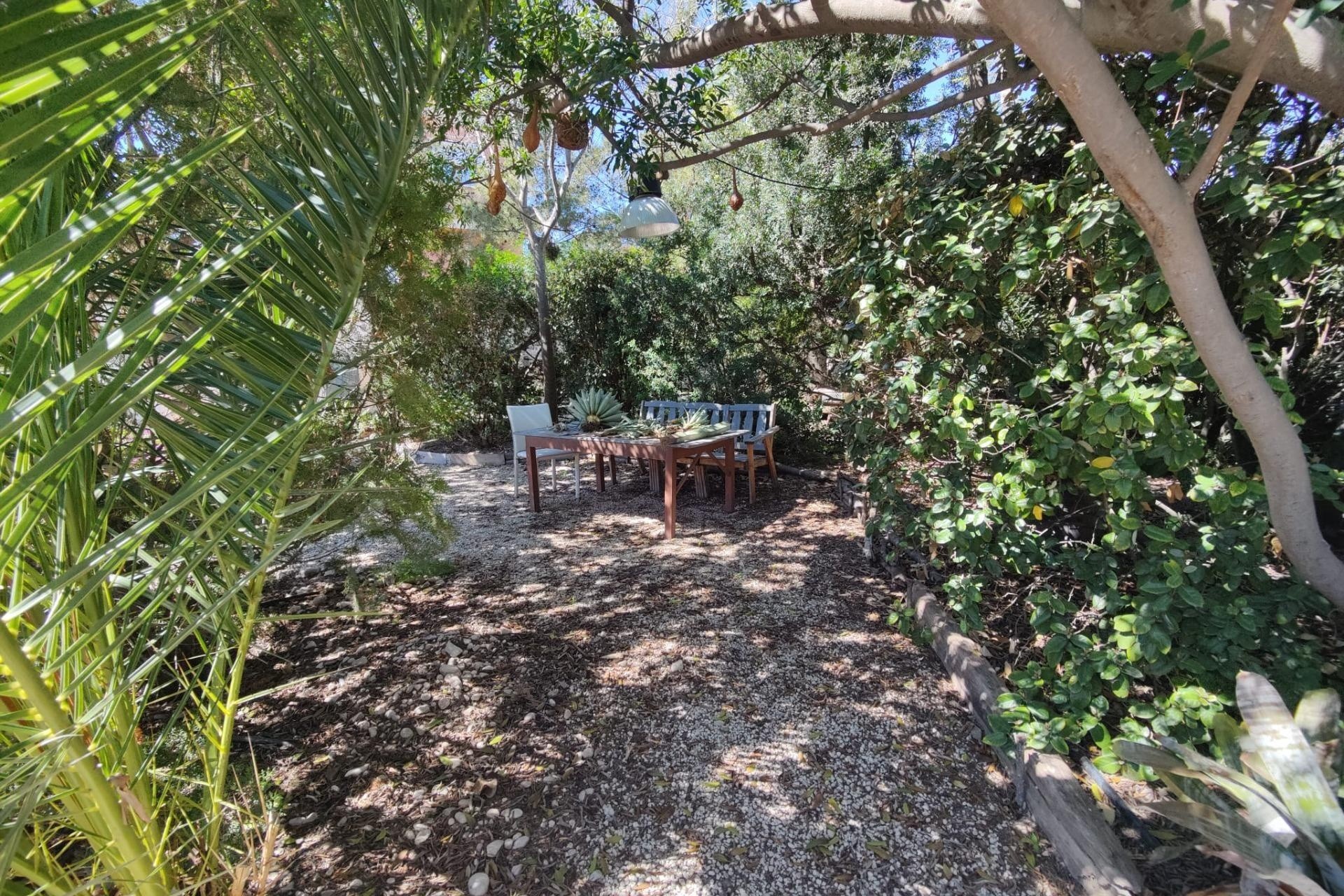 Herverkoop - Finca Landelijk pand -
San Juan de Alicante - SAN JUAN