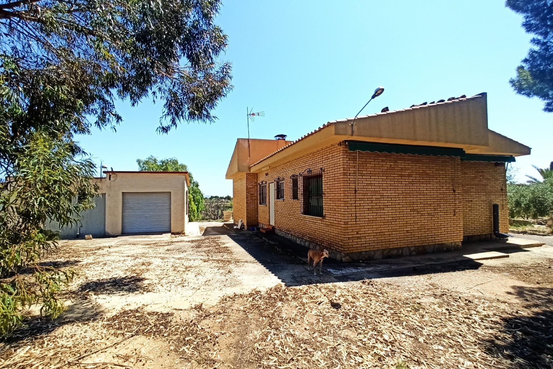 Herverkoop - Finca Landelijk pand -
San Vicente del Raspeig