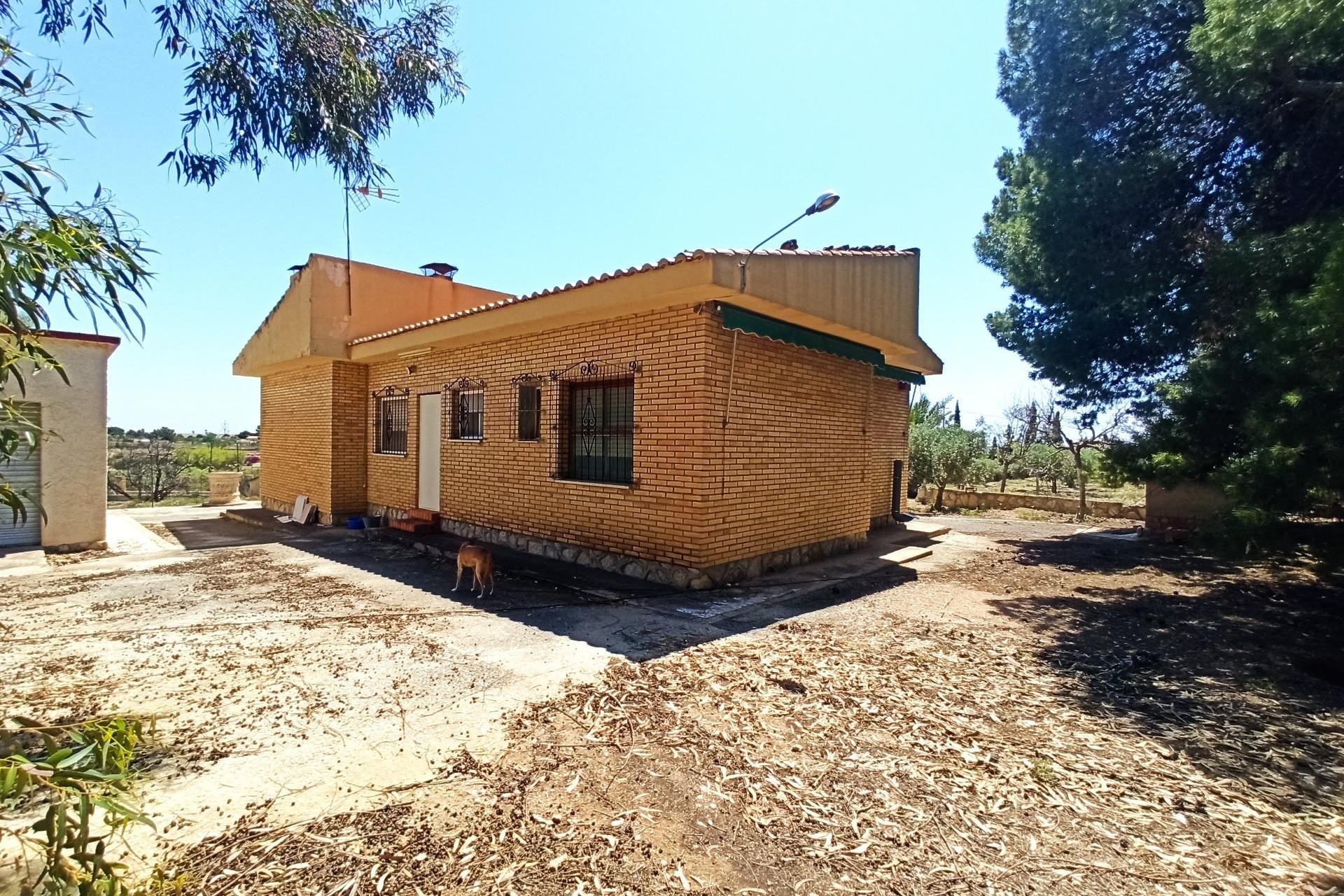 Herverkoop - Finca Landelijk pand -
San Vicente del Raspeig